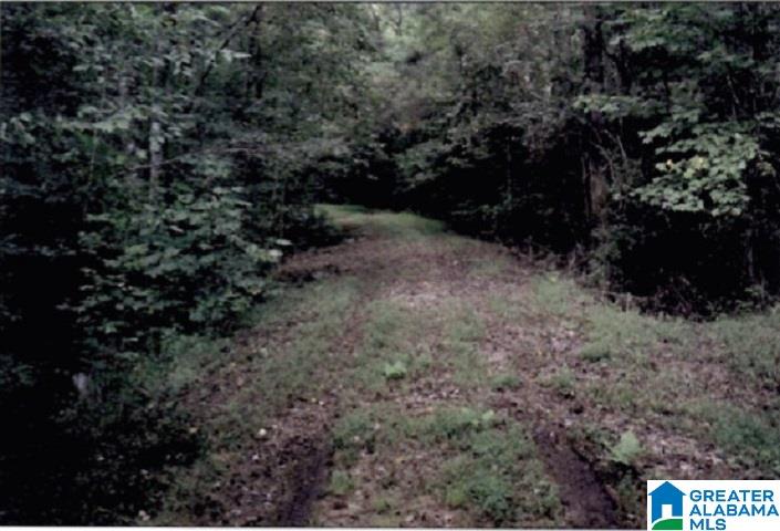0 County Road 83, Unit 2 Heflin, AL 36264 - Photo 8 of 8