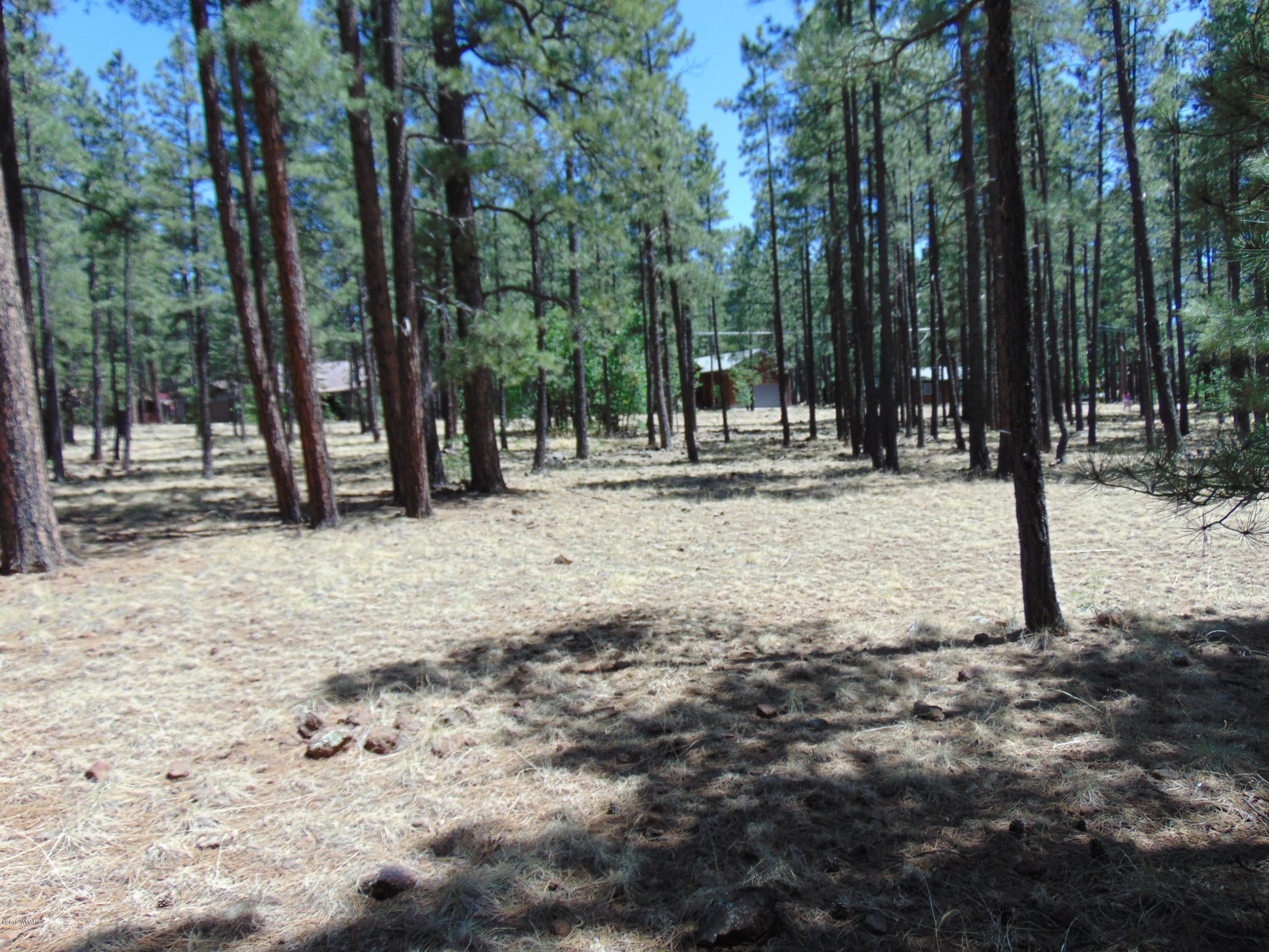 7682 Buck Springs Road Pinetop, AZ 85935 - Photo 1 of 6 Gallery Image 1