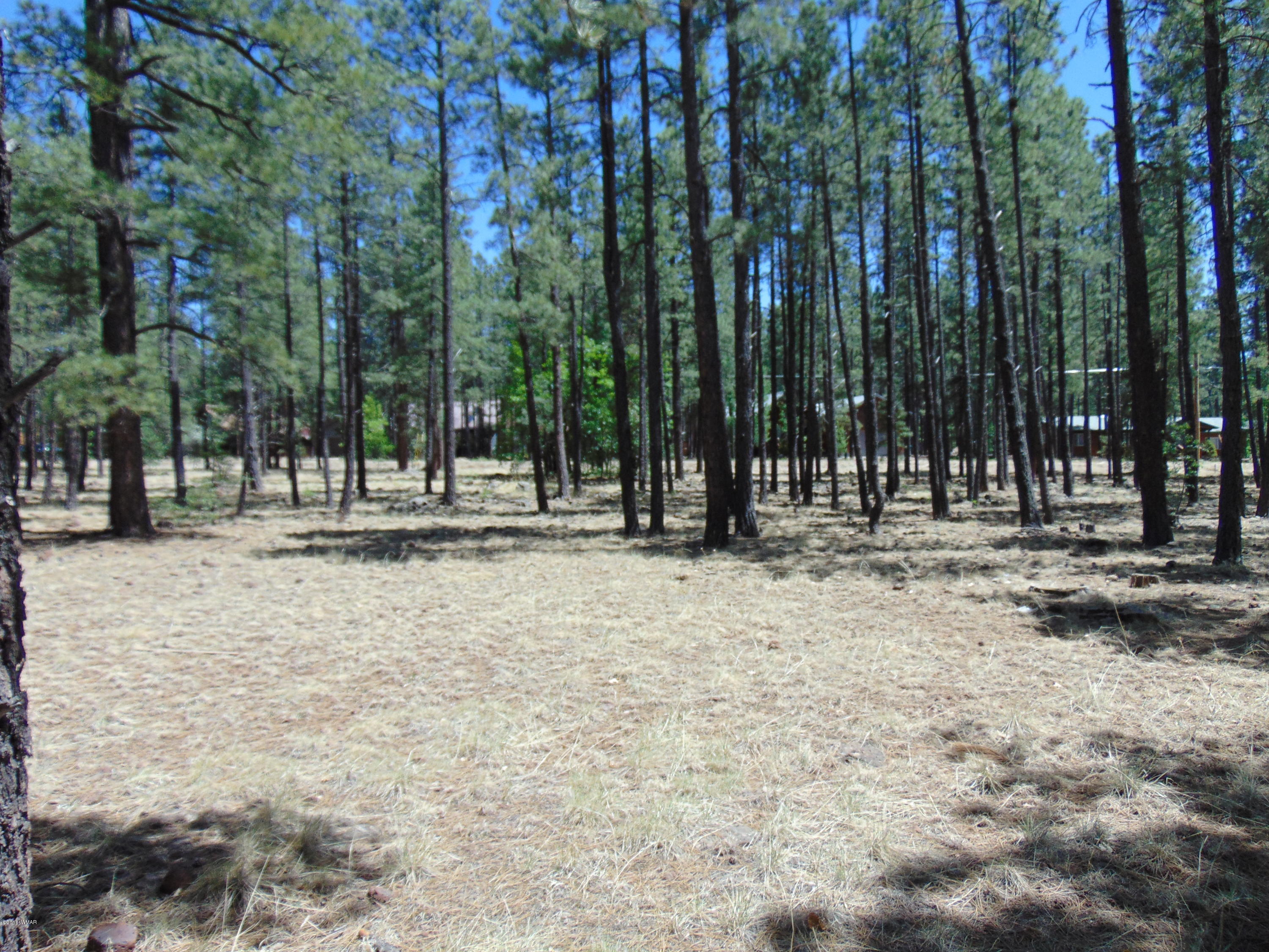 7682 Buck Springs Road Pinetop, AZ 85935 - Photo 3 of 6 Gallery Image 3