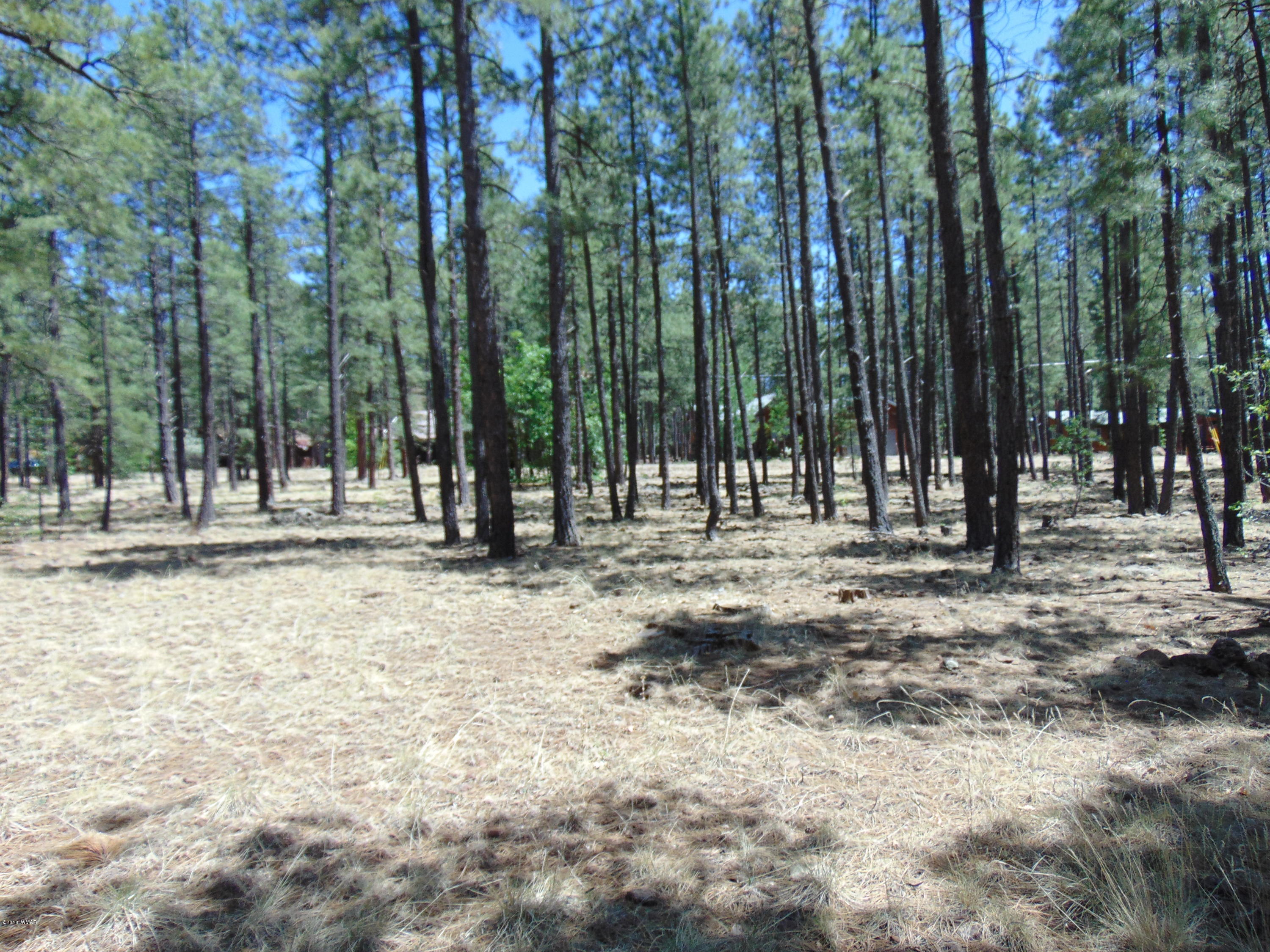7682 Buck Springs Road Pinetop, AZ 85935 - Photo 4 of 6 Gallery Image 4
