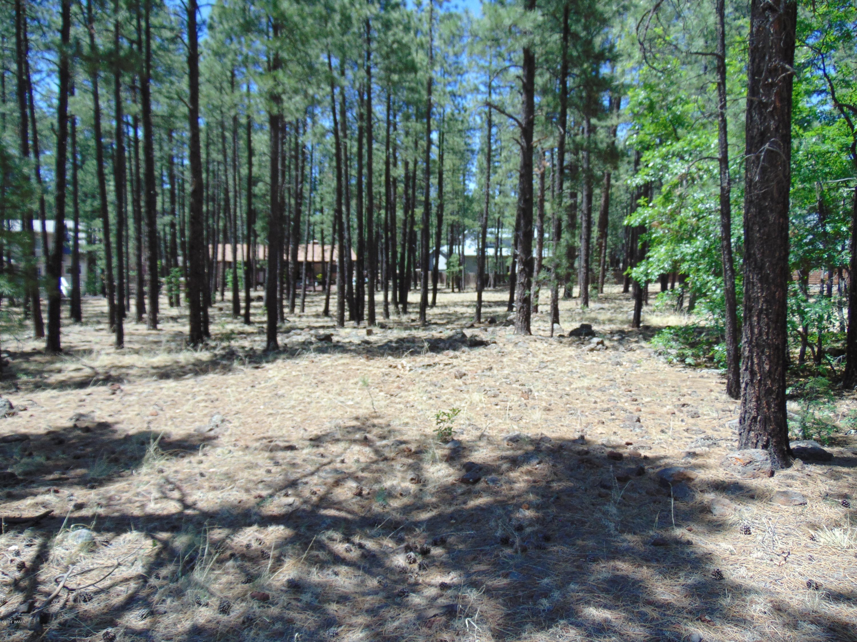 7682 Buck Springs Road Pinetop, AZ 85935 - Photo 5 of 6 Gallery Image 5