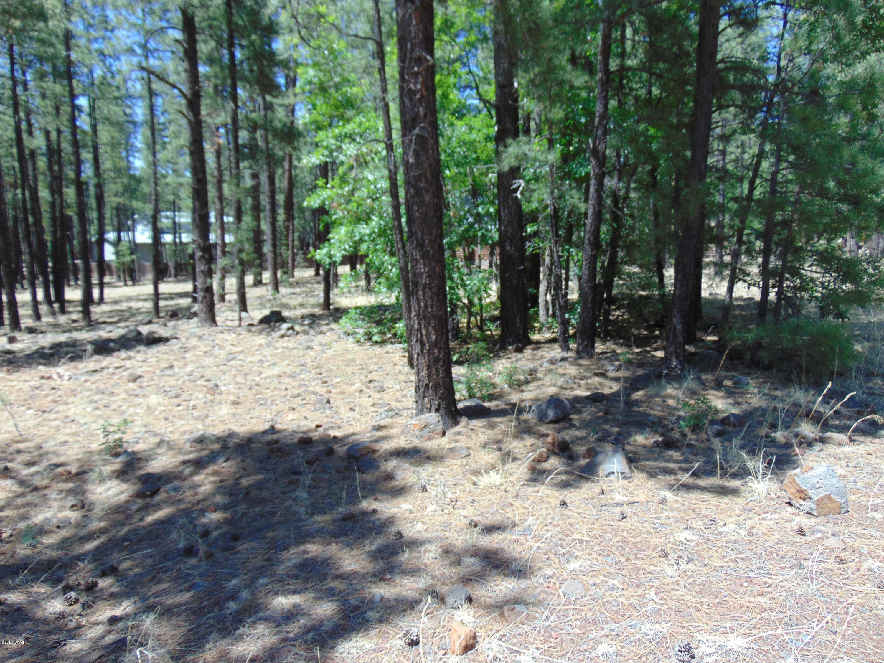 7682 Buck Springs Road Pinetop, AZ 85935 - Photo 6 of 6 Gallery Image 6