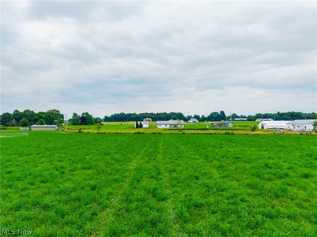 Cutter Road Apple Creek, OH 44606 - Photo 5 of 17 Gallery Image 5