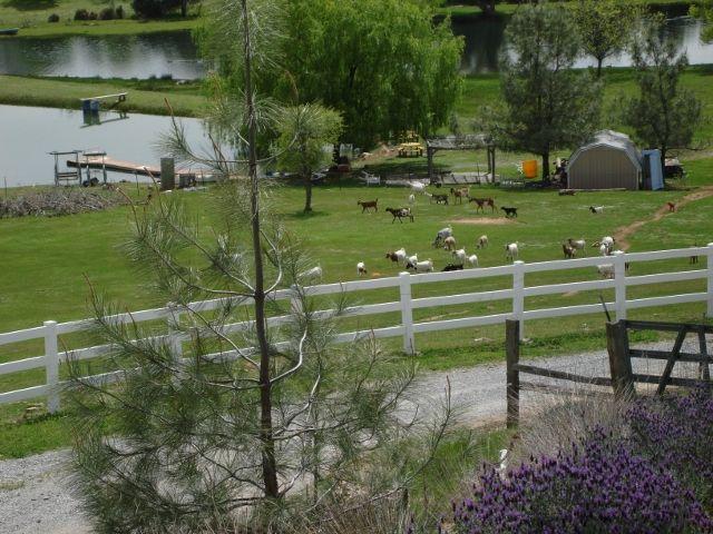 12989 Fern Road Whitmore, CA 96096 - Photo 1 of 25 Main