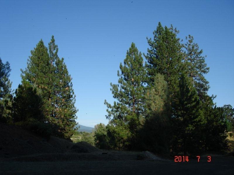 12989 Fern Road Whitmore, CA 96096 - Photo 20 of 25 20
