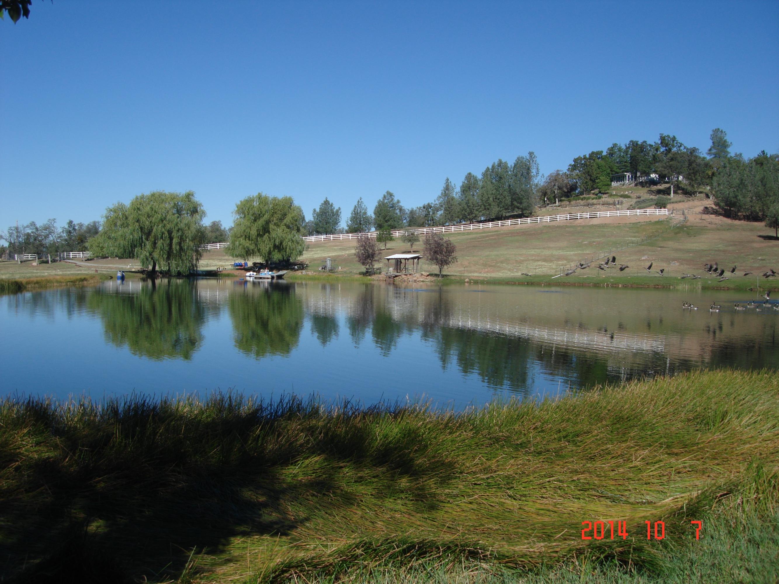 12989 Fern Road Whitmore, CA 96096 - Photo 23 of 25 23