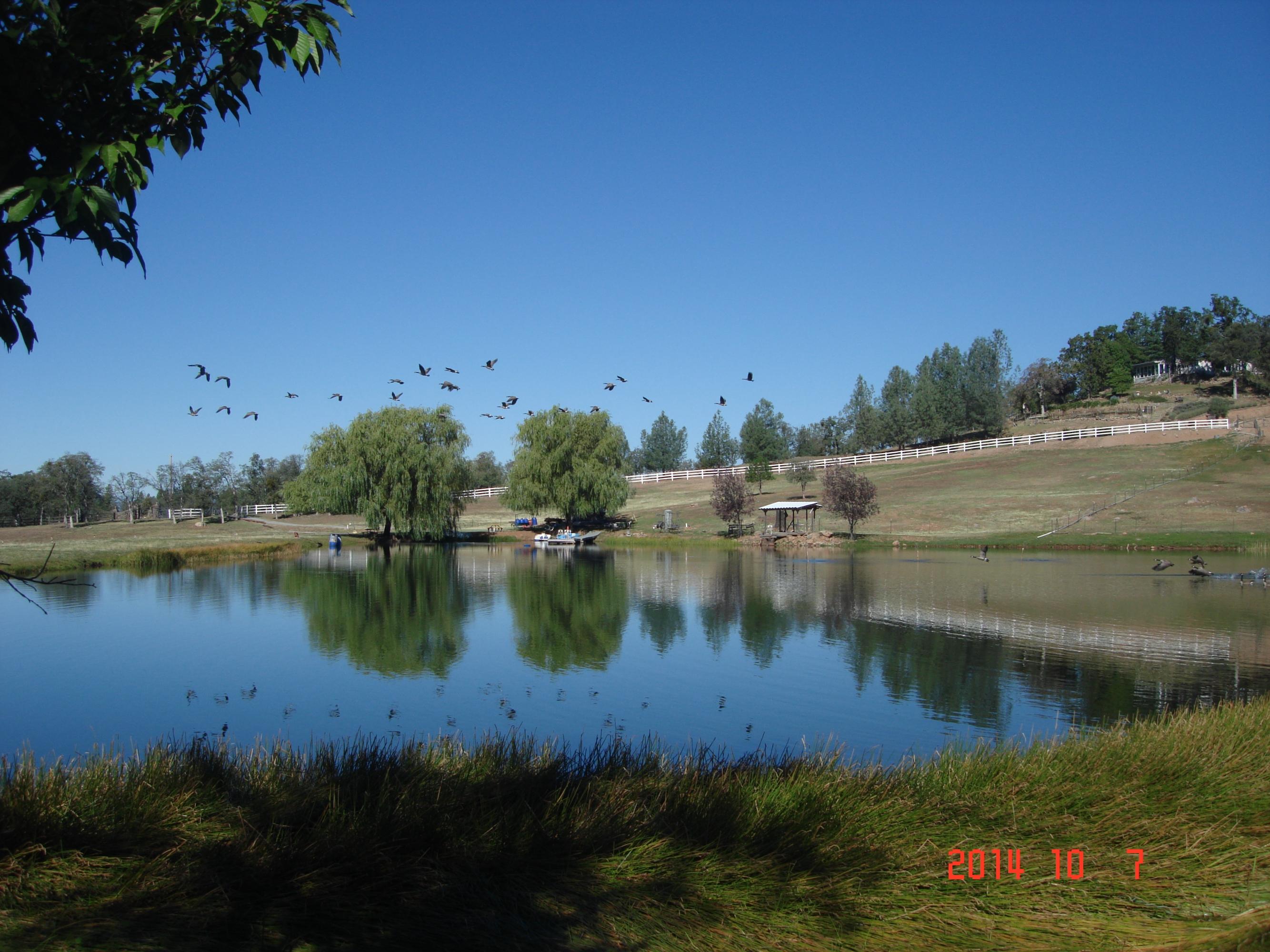 12989 Fern Road Whitmore, CA 96096 - Photo 24 of 25 24