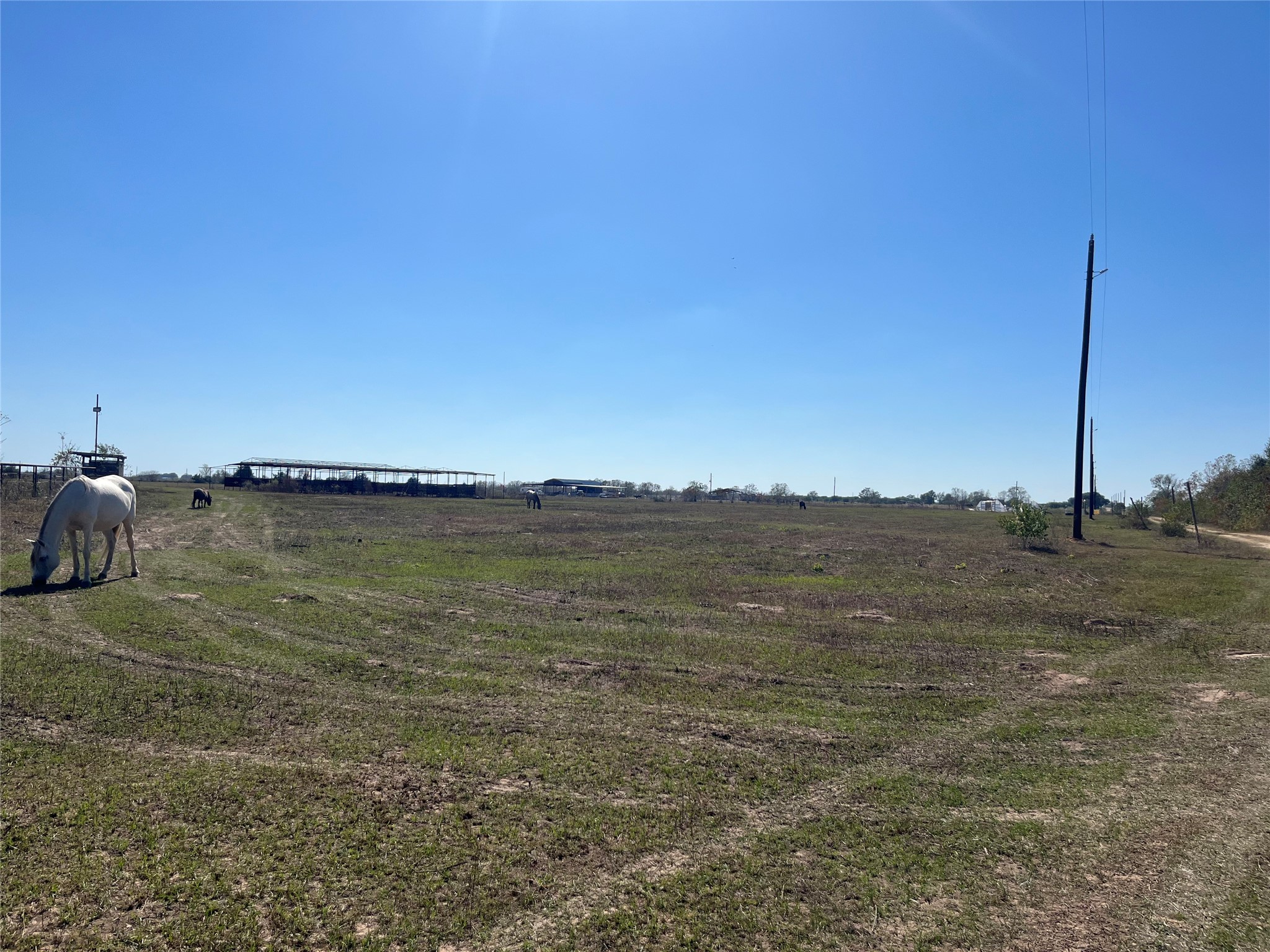 0 Mieth Road South Sealy, TX 77474 - Photo 1 of 11