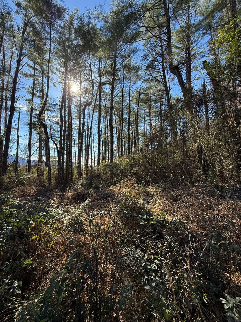 0 Airport Road Andrews, NC 28901 - Photo 4 of 12