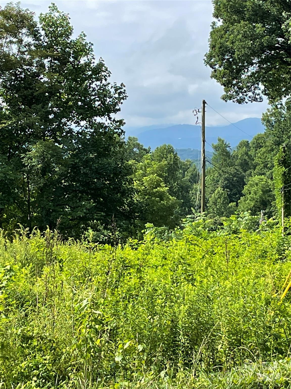 940 Monteith Branch Road Sylva, NC 28779 - Photo 6 of 12