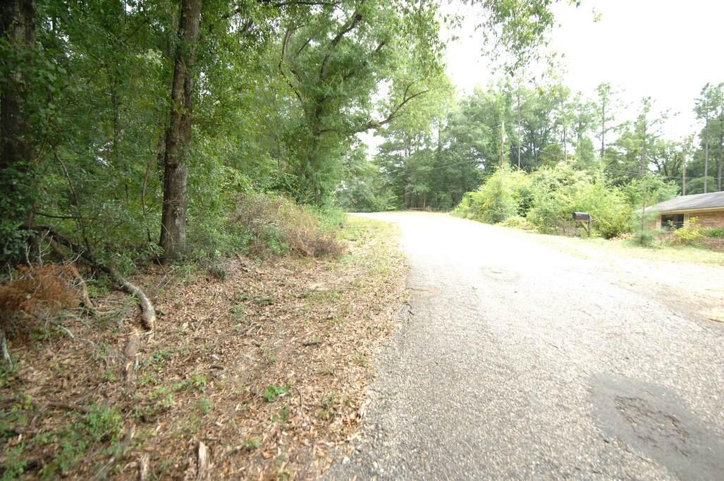 Tbd Tbd Mccain Road Foxworth, MS 39483 - Photo 2 of 6 Gallery Image 2