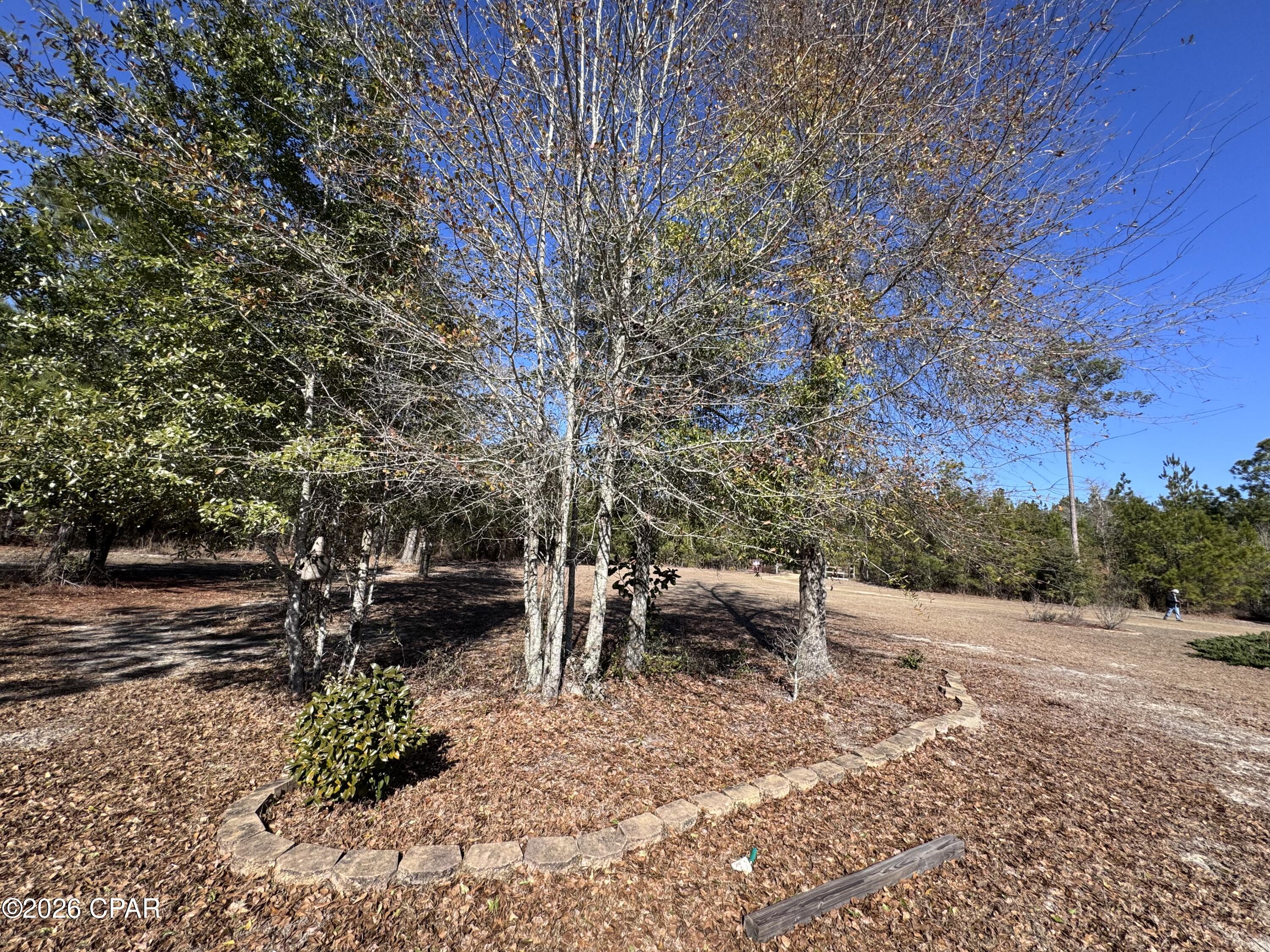 1112 Max Herrin Road Chattahoochee, FL 32324 - Photo 42 of 70