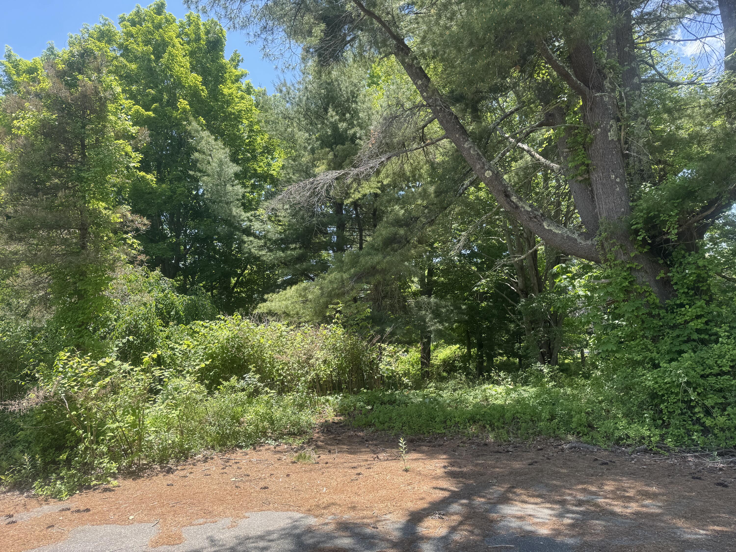19 River Road York, ME 03902 - Photo 5 of 7 IMG_4405