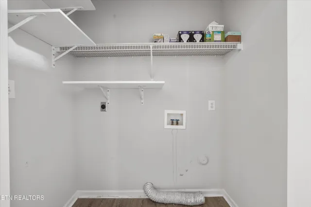 a view of a yard with large tree