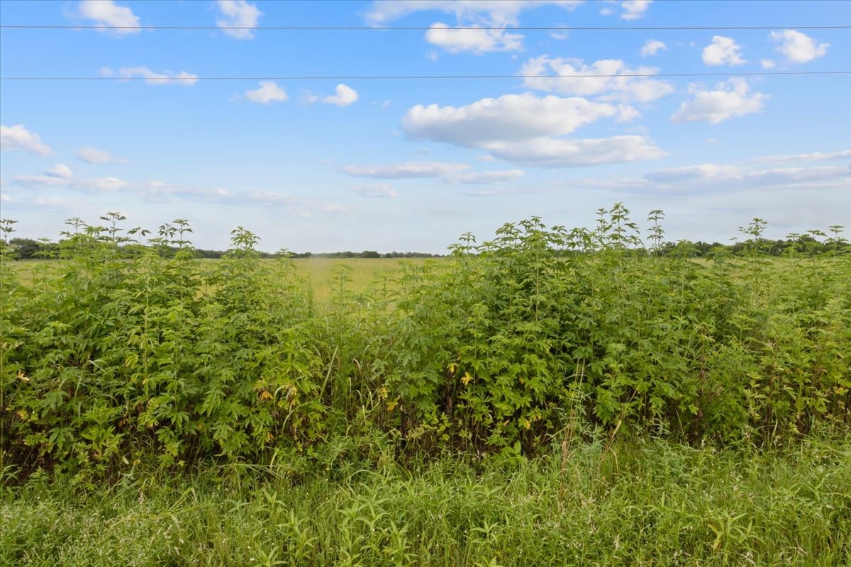 0 Old Boenisch Road Garwood, TX 77442 - Photo 6 of 9