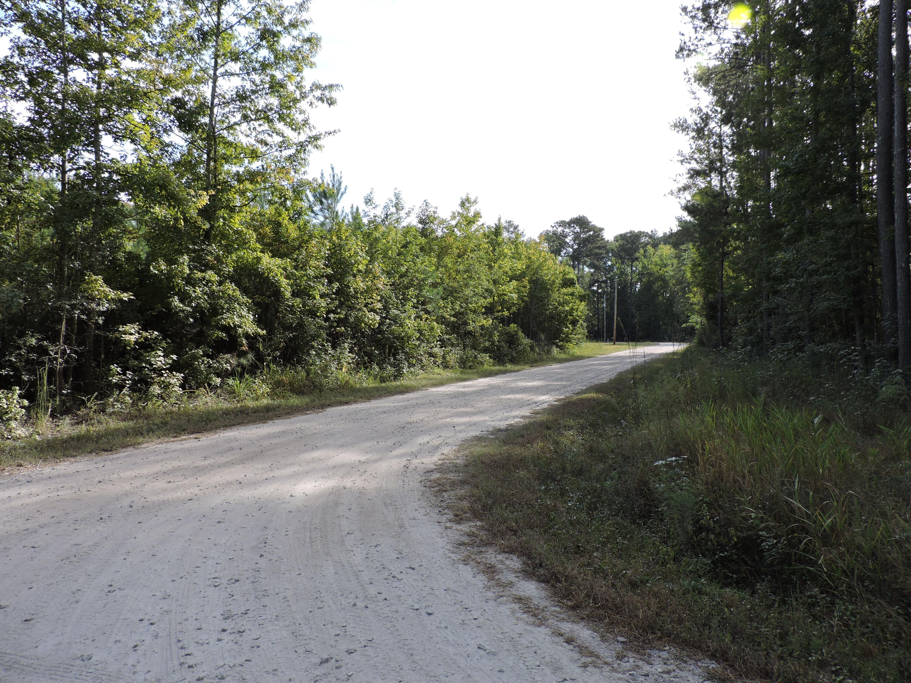 0 Van Dyke Road Cottageville, SC 29435 - Photo 6 of 9 DSCN1675