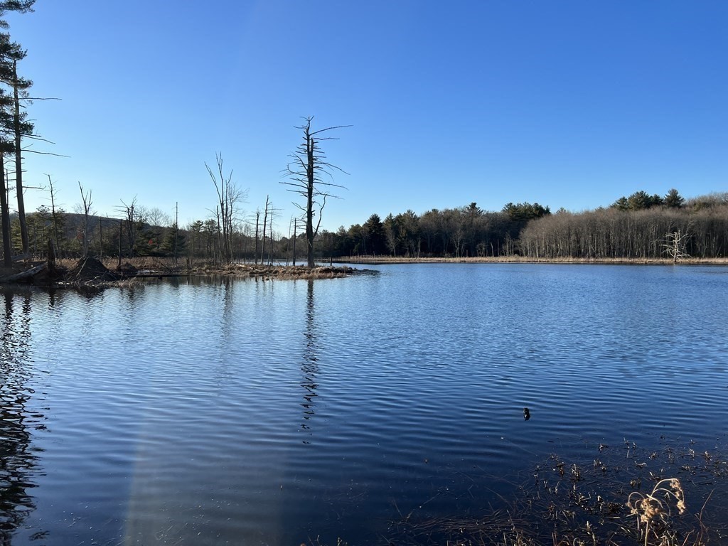 1124 Bemis Road, Unit B Warren, MA 01585 - Photo 6 of 42 a view of lake with boats