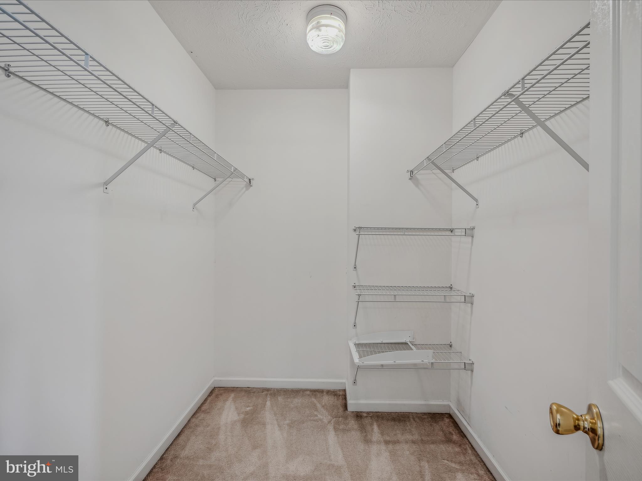 76 Peter Rabbit Drive Ranson, WV 25438 - Photo 20 of 37 Suite is topped off by a huge walk-in closet