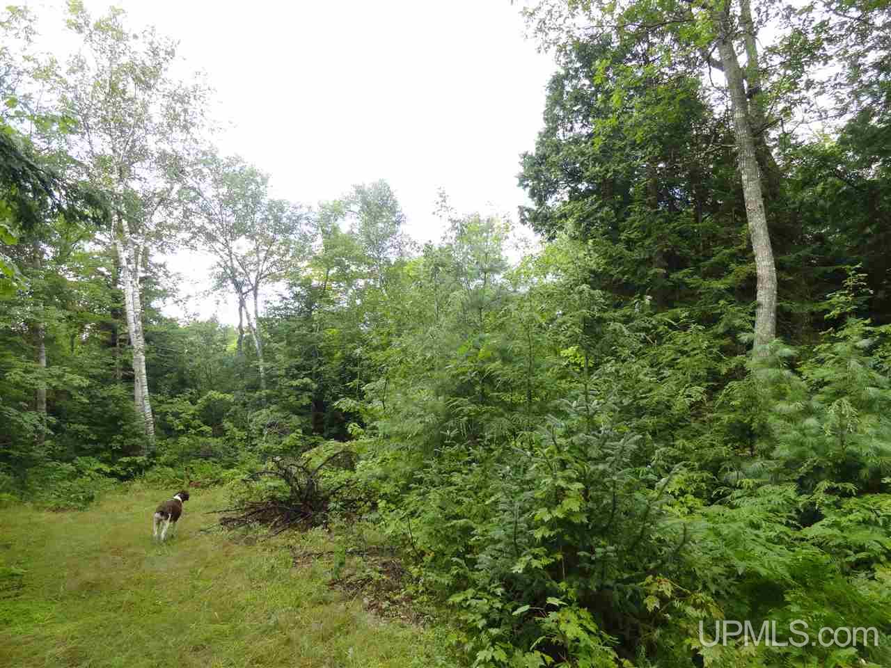 510 Rd Marquette Mi 49855 Road Negaunee, MI 49866 - Photo 11 of 26