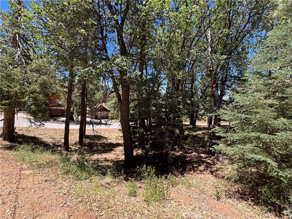 815 Conklin Road Big Bear Lake, CA 92315 - Photo 7 of 7