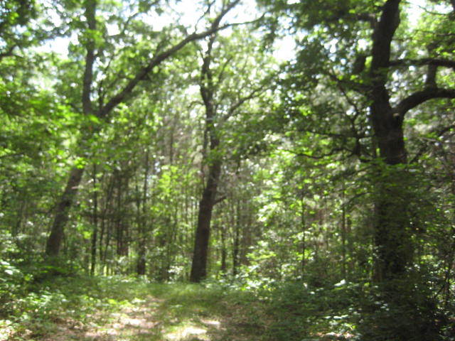 0 Candle Road Sparta, WI 54656 - Photo 1 of 1 .