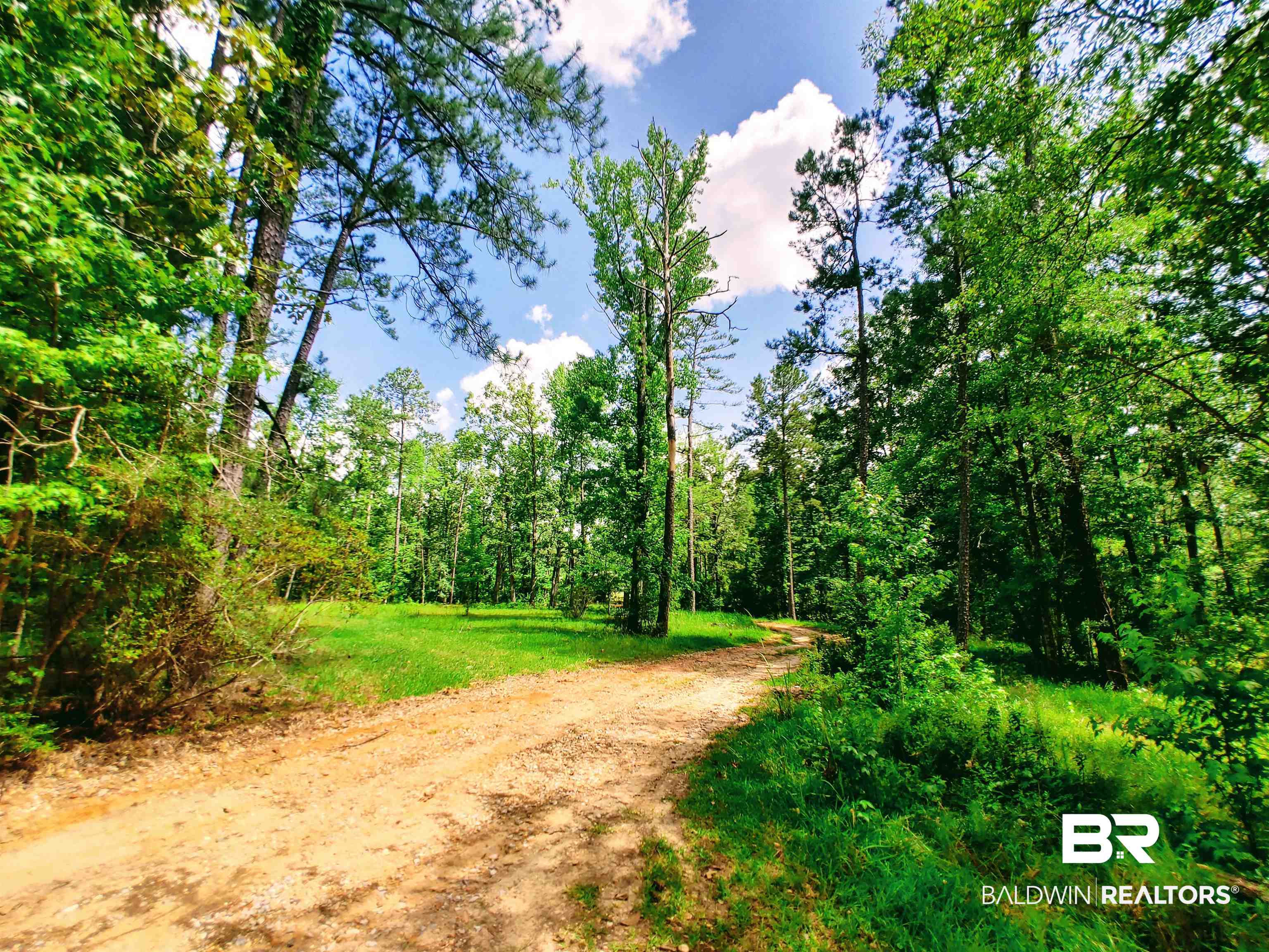 48 Highway 17 Millry, AL 36558 - Photo 46 of 50