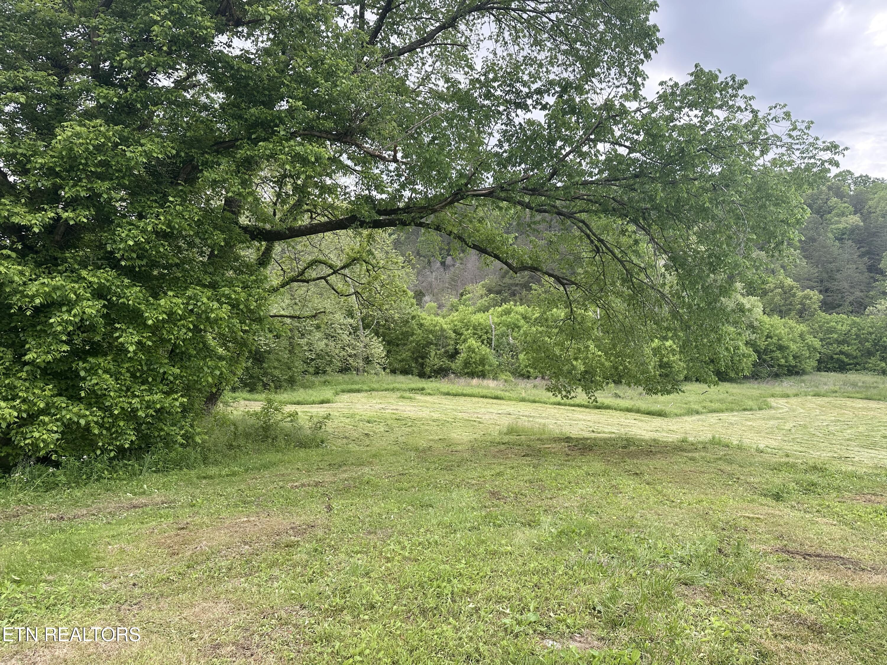 1623 Tater Valley Road Washburn, TN 37888 - Photo 2 of 3 IMG_0024