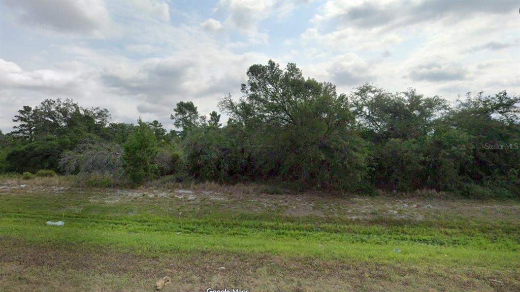 27 Hwy Frostproof Frostproof, FL 33843 - Photo 1 of 5 a view of outdoor space with green field and trees in the background