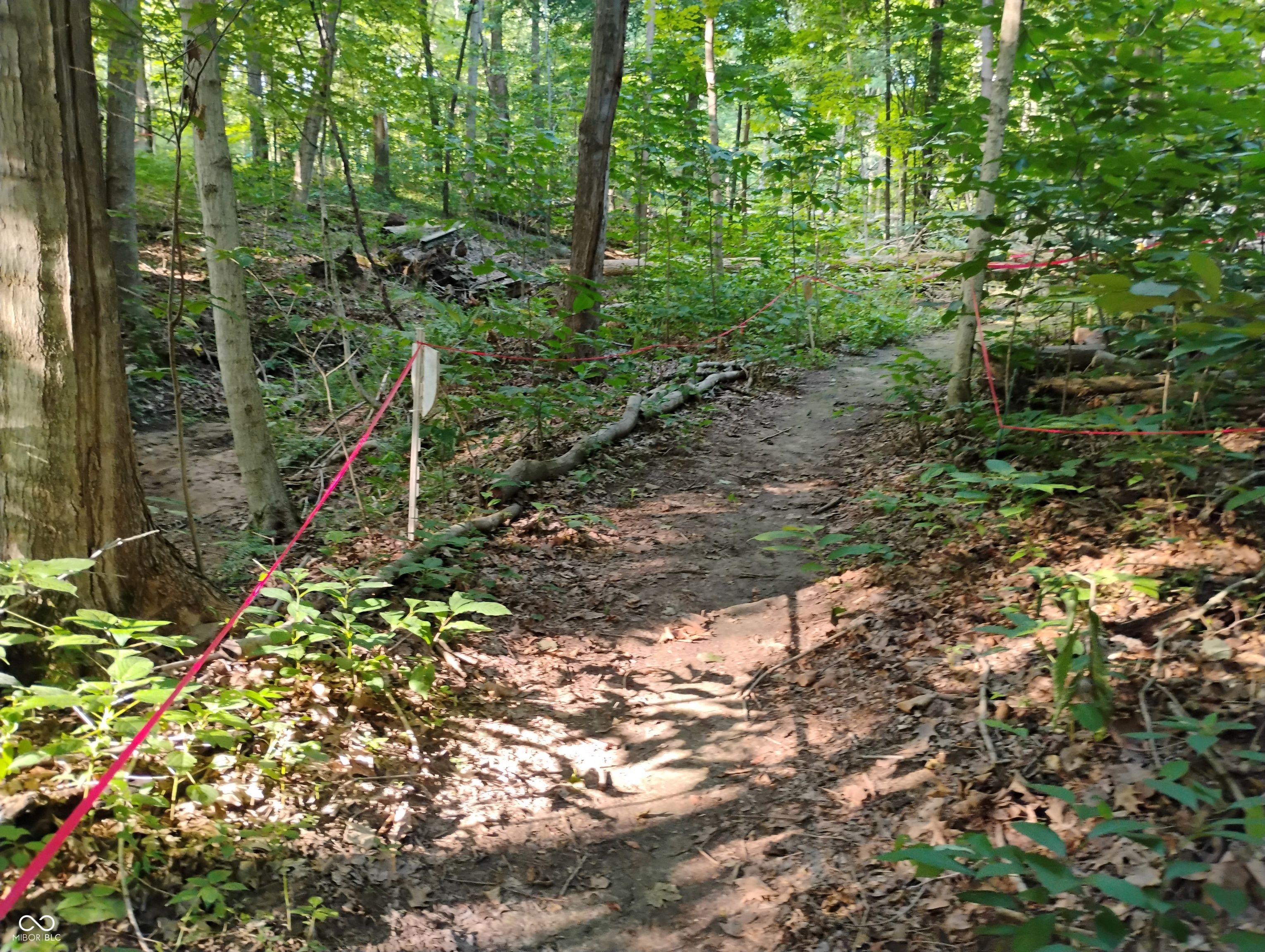 9993 Newport Road Bowling Green, IN 47833 - Photo 26 of 67