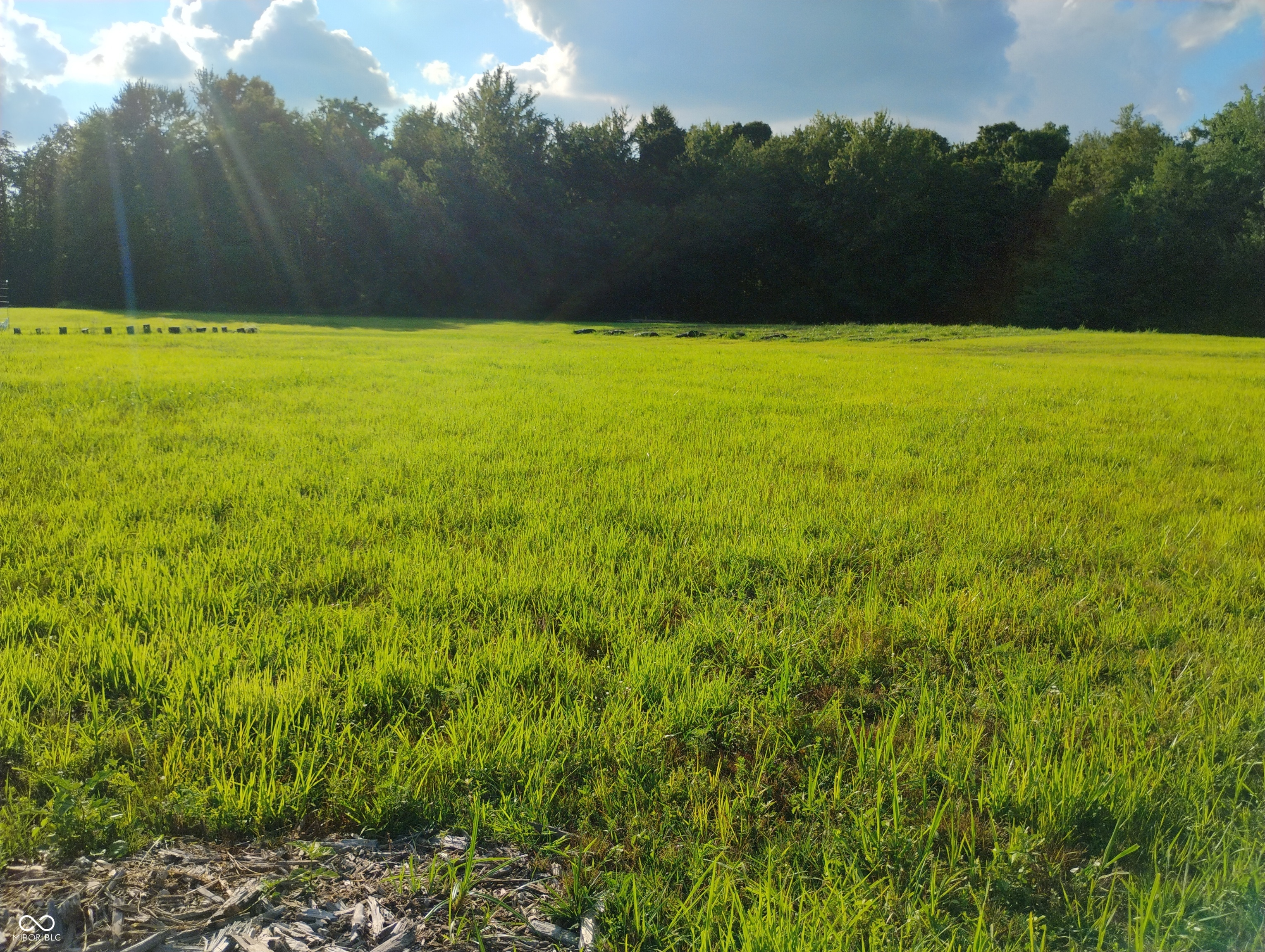 9993 Newport Road Bowling Green, IN 47833 - Photo 29 of 67