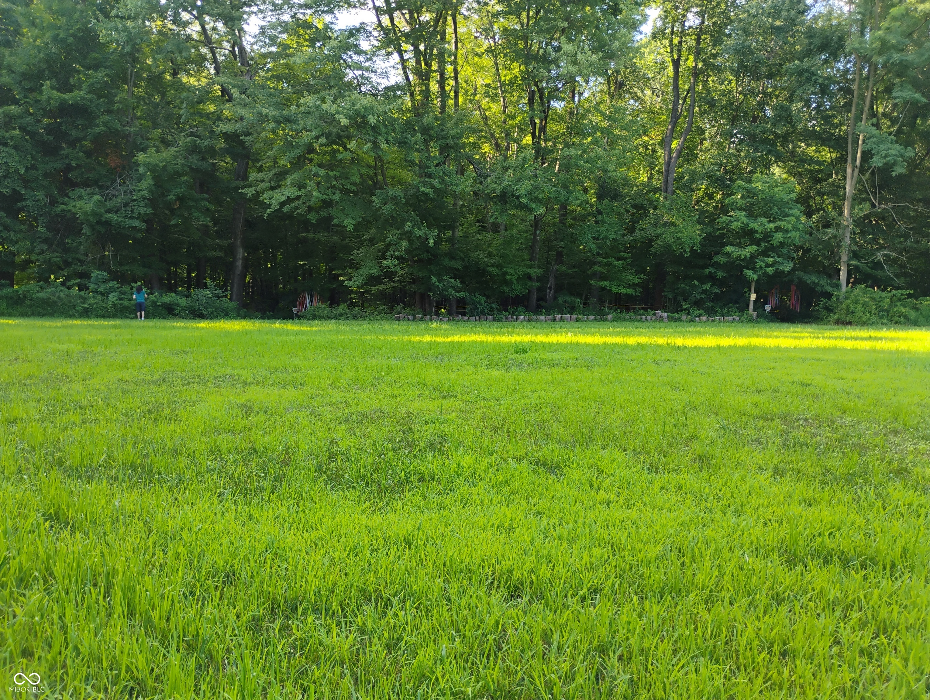 9993 Newport Road Bowling Green, IN 47833 - Photo 30 of 67