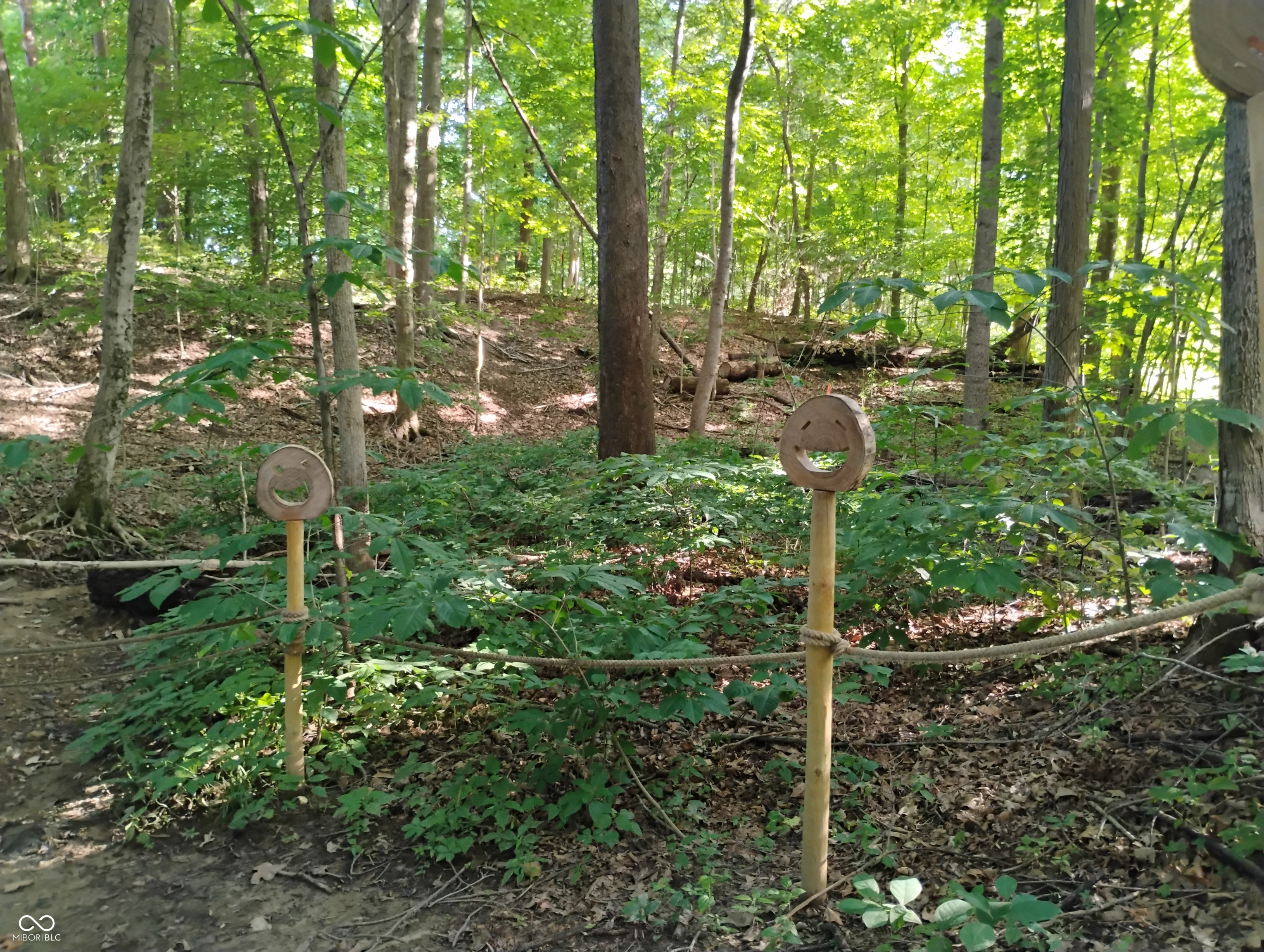 9993 Newport Road Bowling Green, IN 47833 - Photo 31 of 67