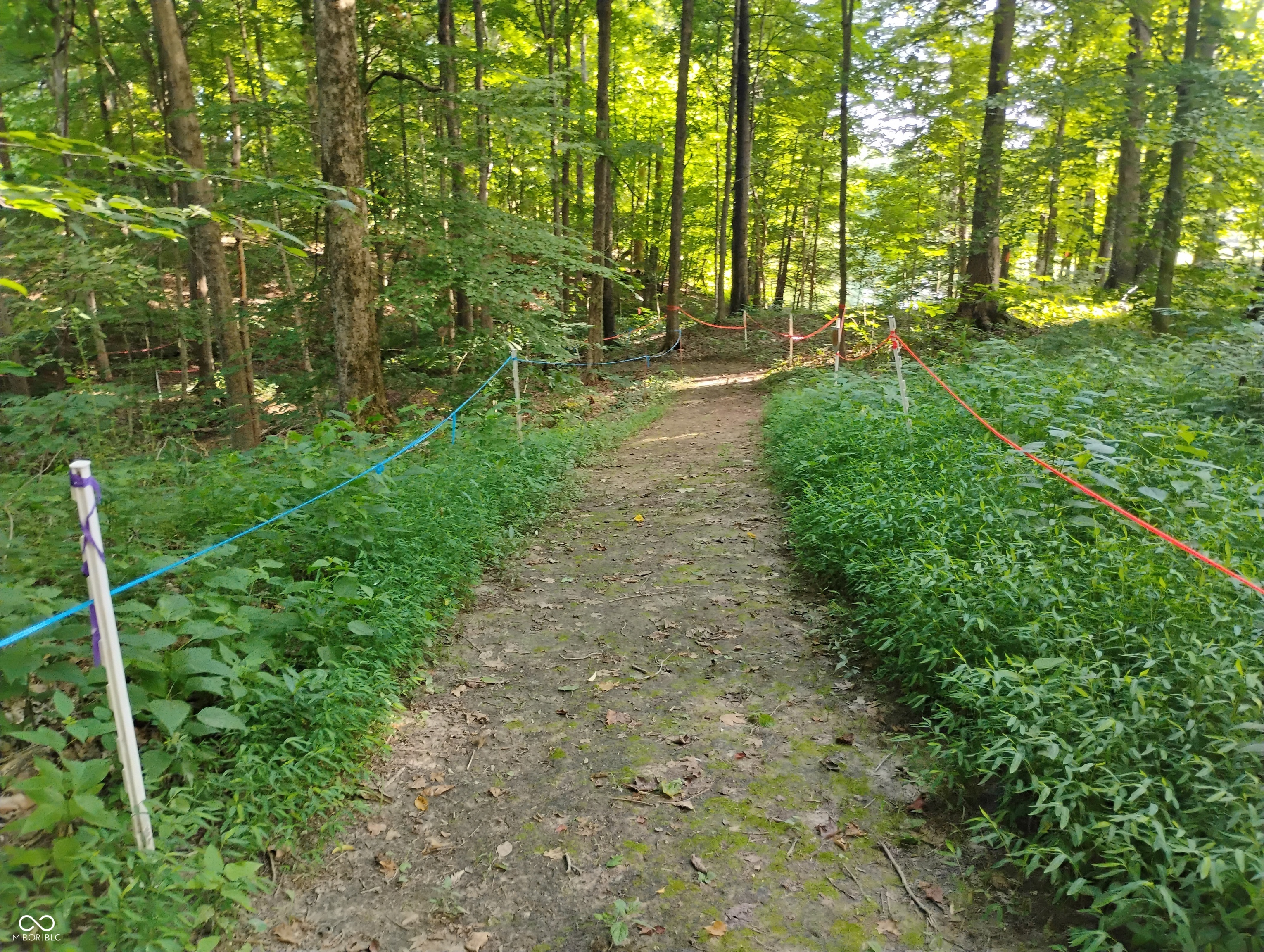 9993 Newport Road Bowling Green, IN 47833 - Photo 32 of 67