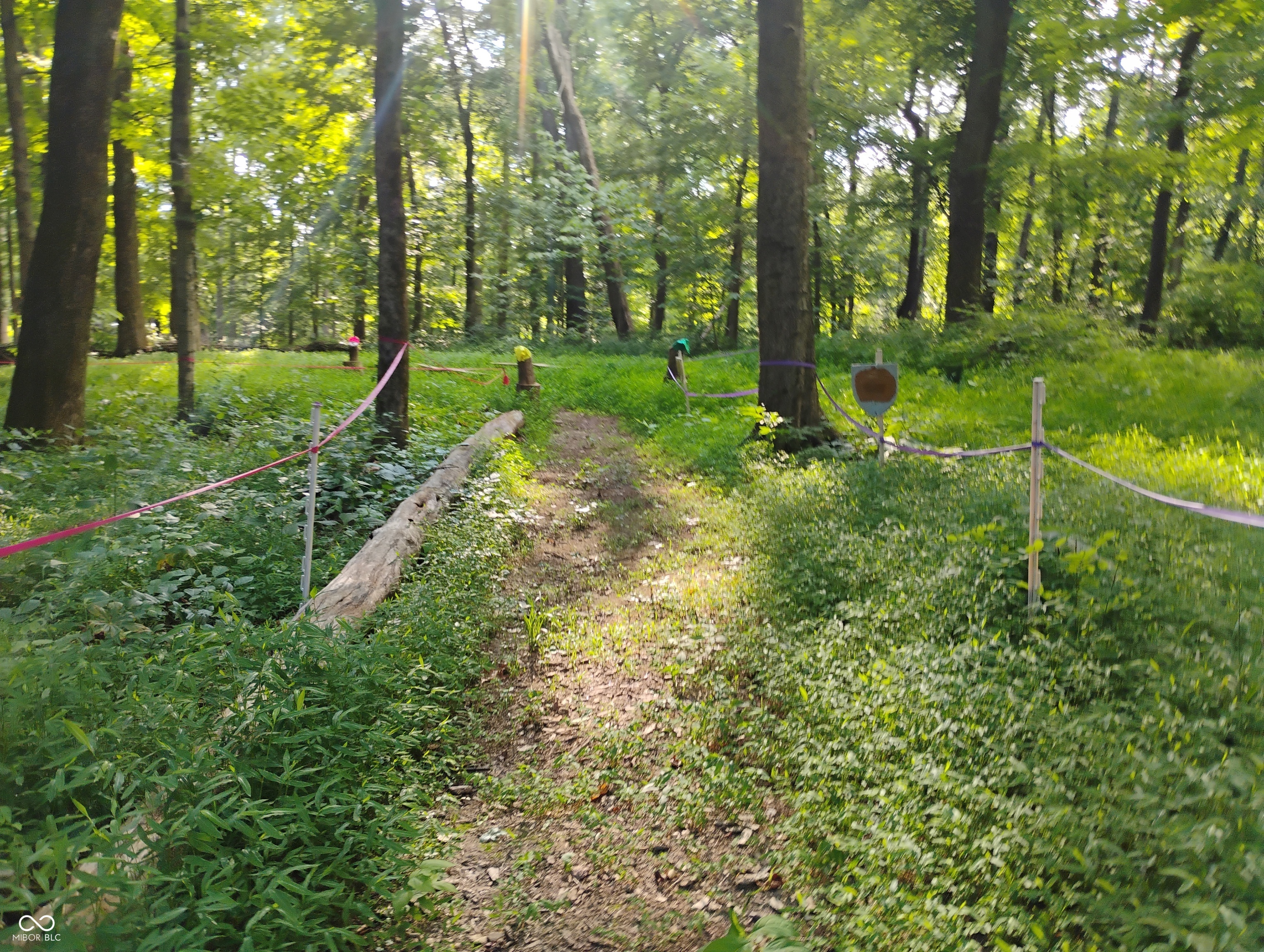 9993 Newport Road Bowling Green, IN 47833 - Photo 33 of 67