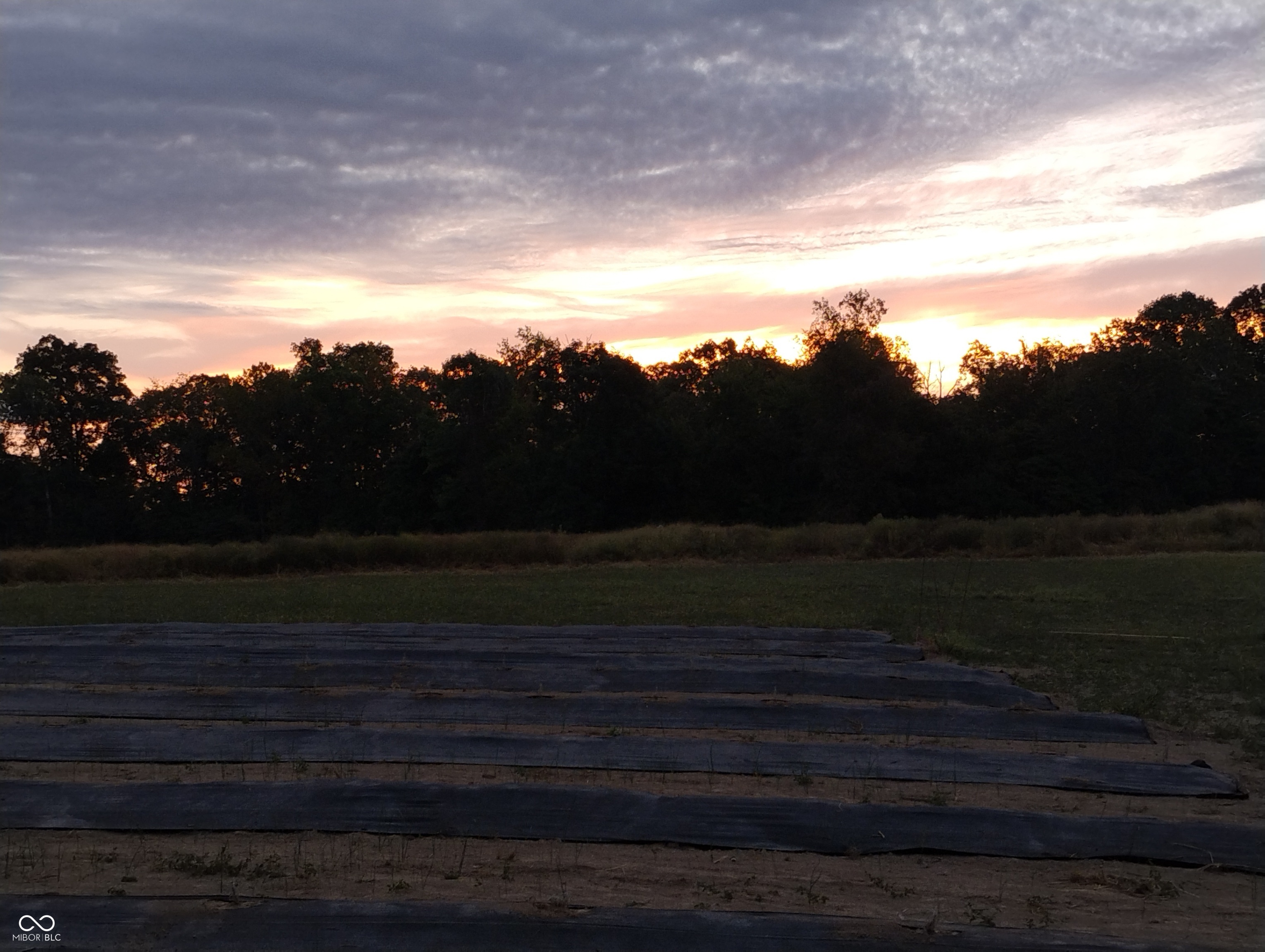 9993 Newport Road Bowling Green, IN 47833 - Photo 34 of 67