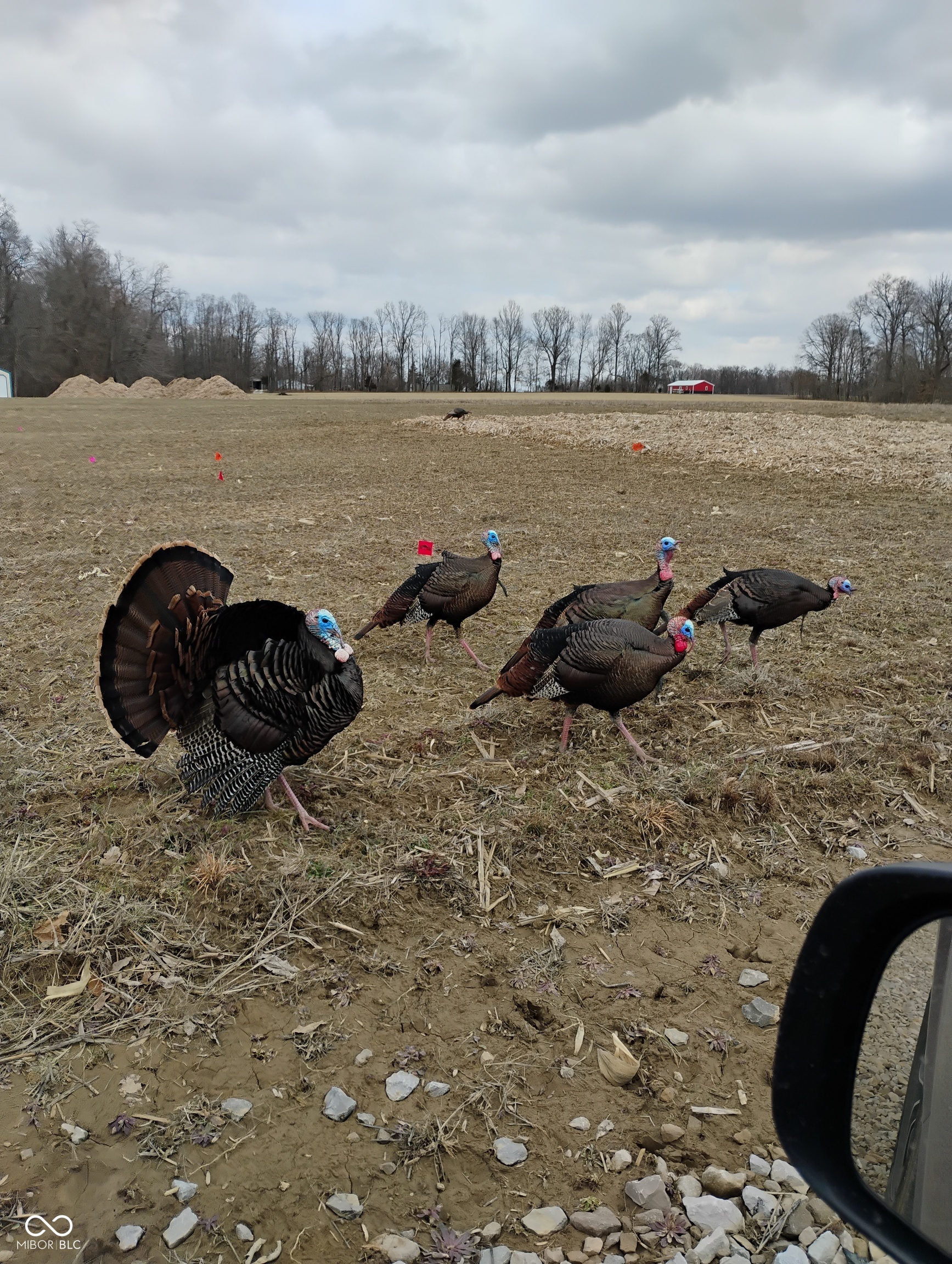 9993 Newport Road Bowling Green, IN 47833 - Photo 37 of 67