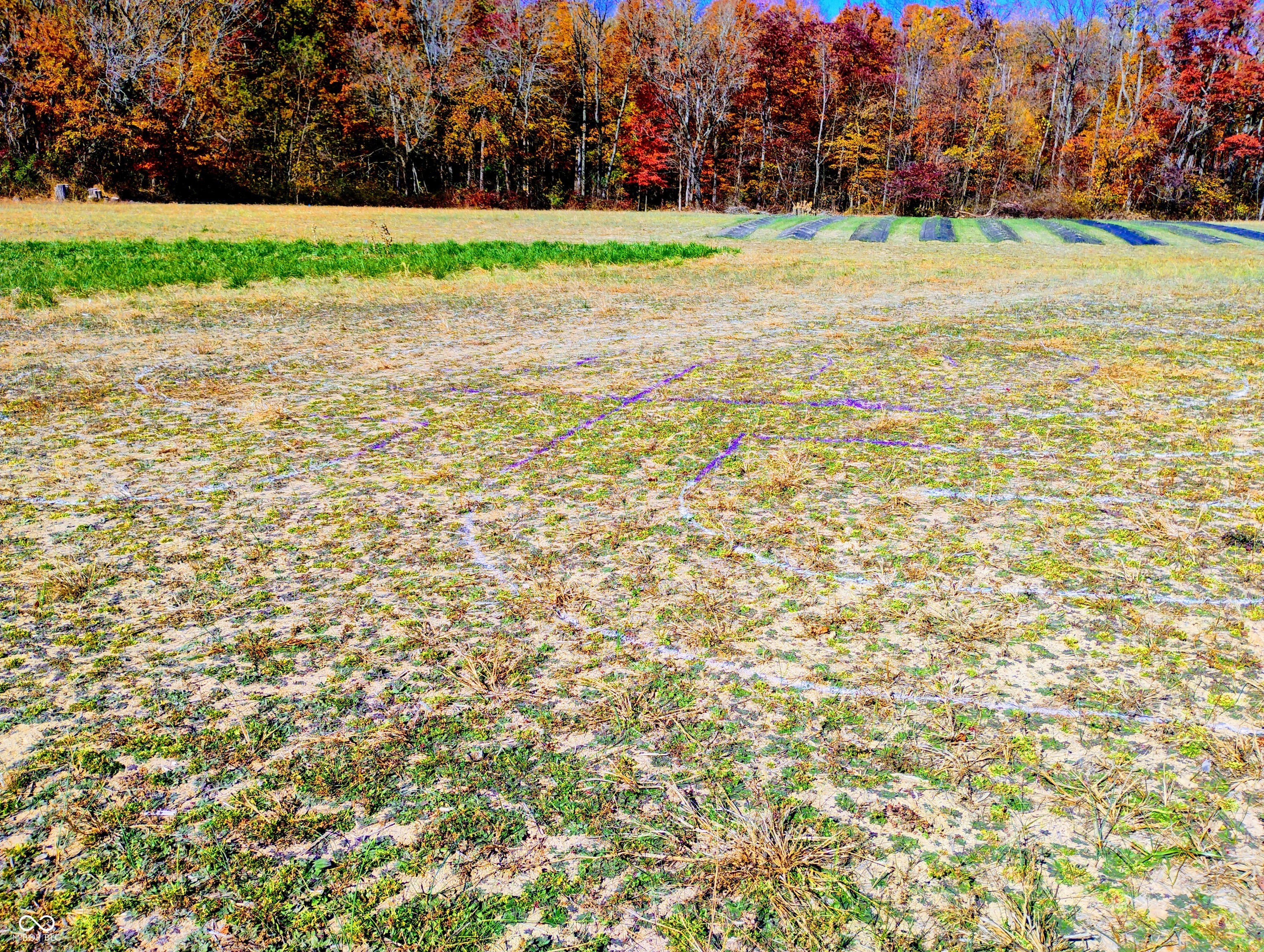 9993 Newport Road Bowling Green, IN 47833 - Photo 38 of 67