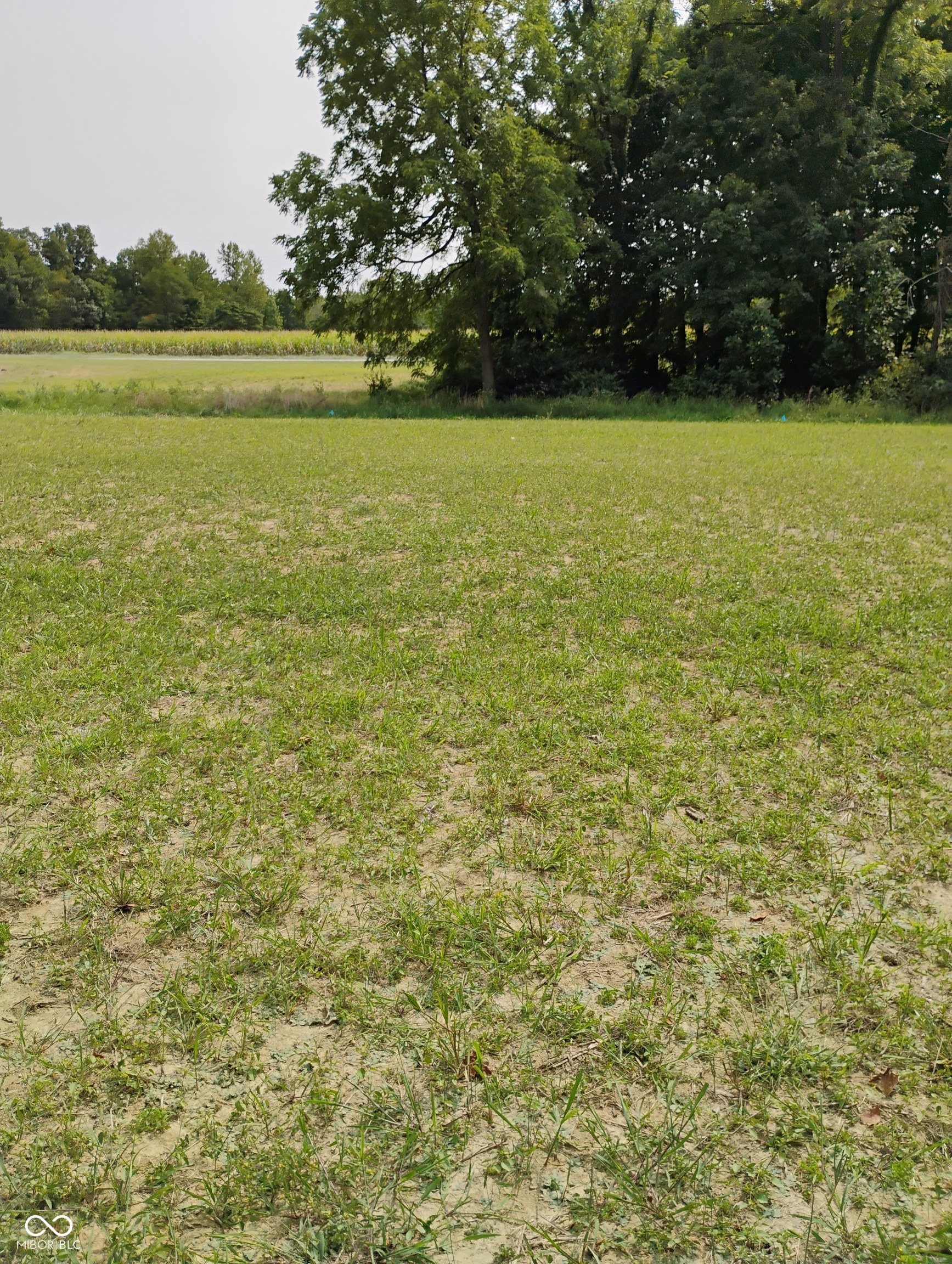 9993 Newport Road Bowling Green, IN 47833 - Photo 39 of 67