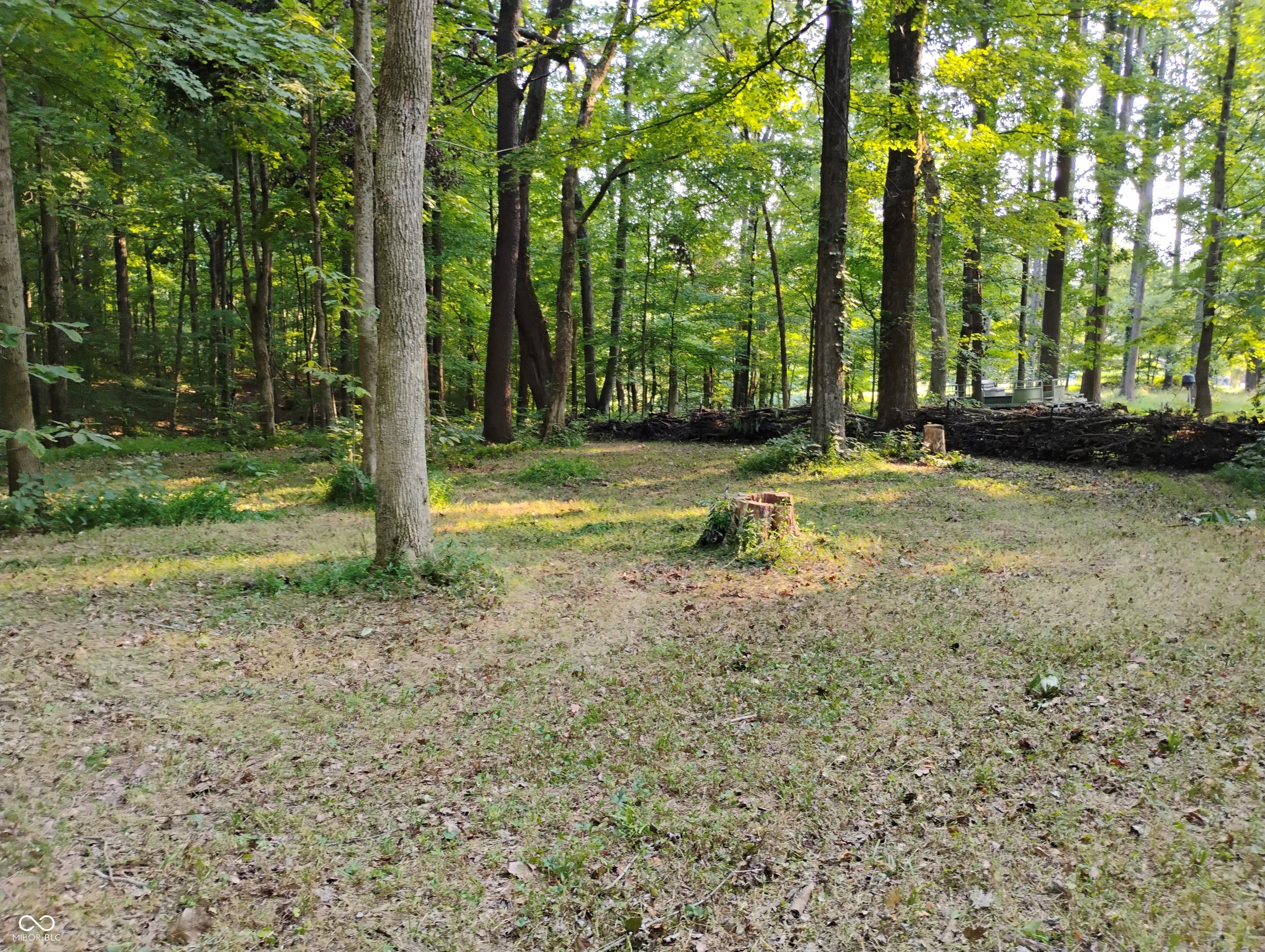 9993 Newport Road Bowling Green, IN 47833 - Photo 40 of 67