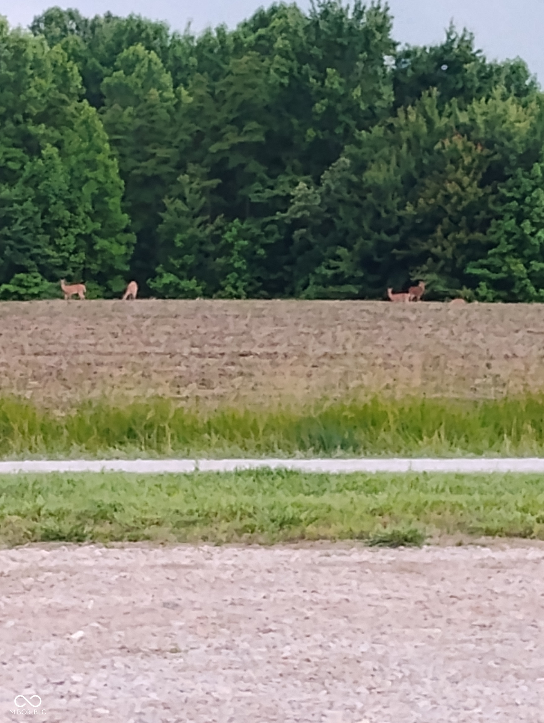 9993 Newport Road Bowling Green, IN 47833 - Photo 41 of 67