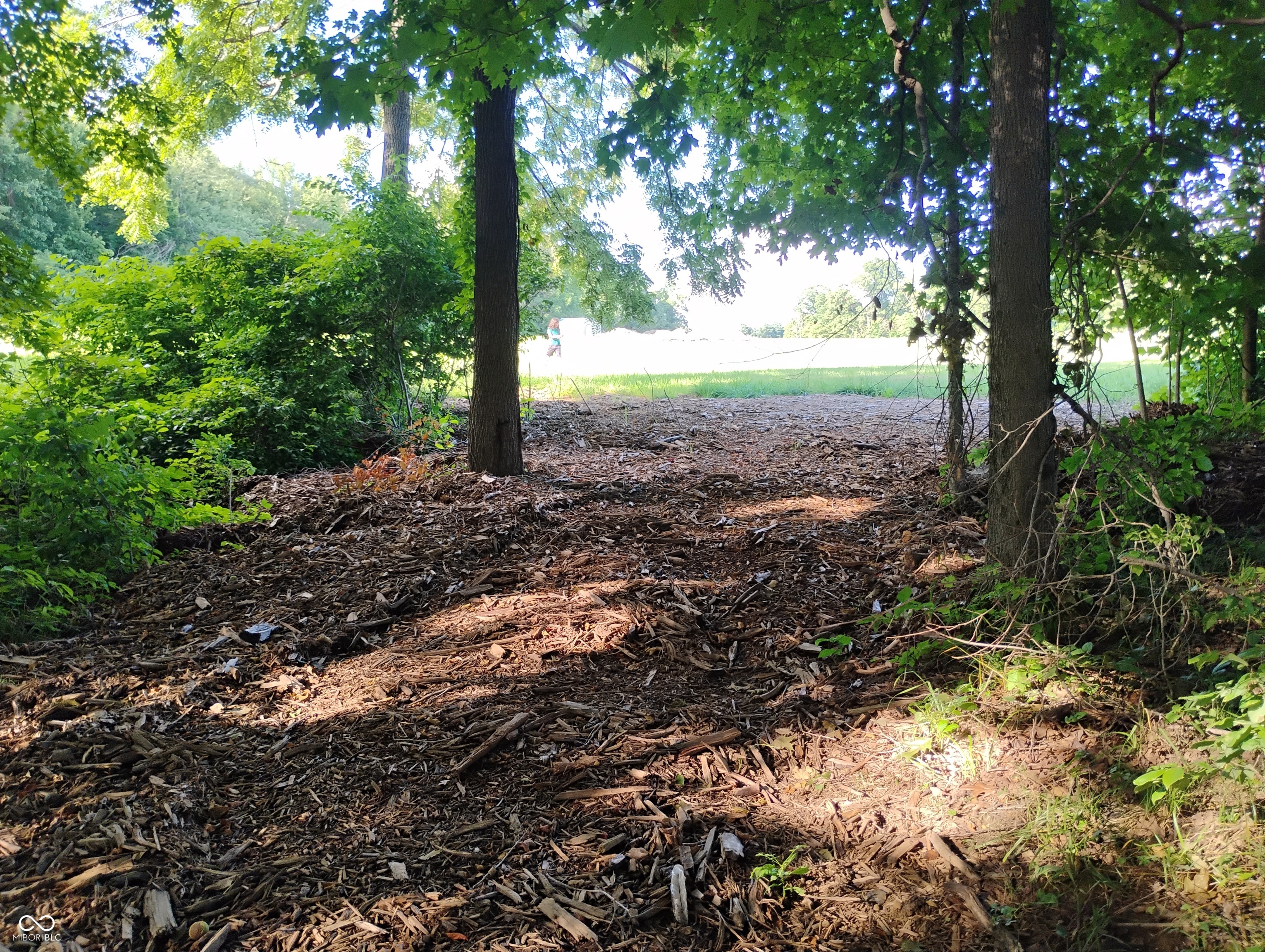 9993 Newport Road Bowling Green, IN 47833 - Photo 45 of 67