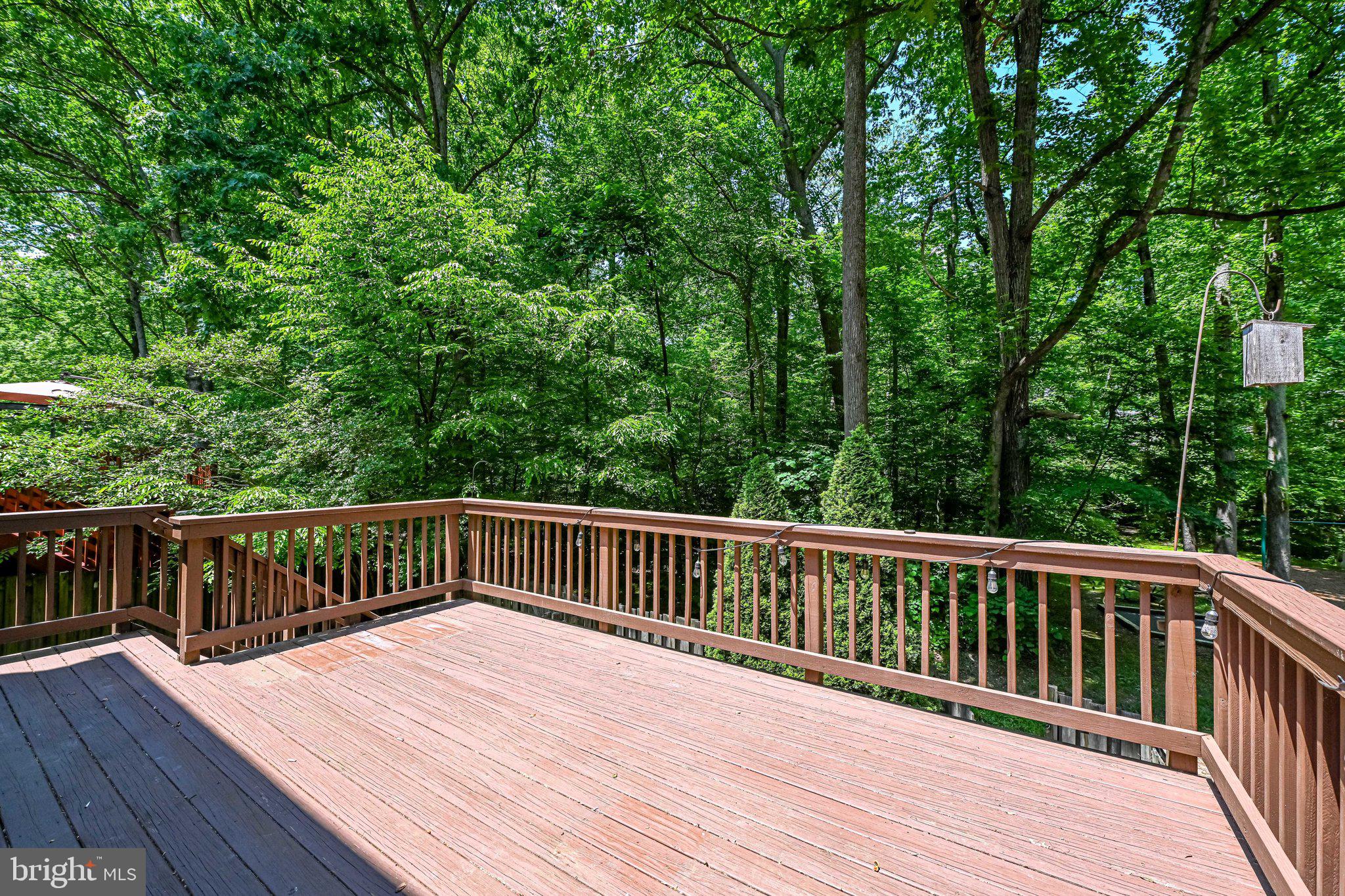 5678 Kirkham Court Springfield, VA 22151 - Photo 8 of 45 Gallery Image 8