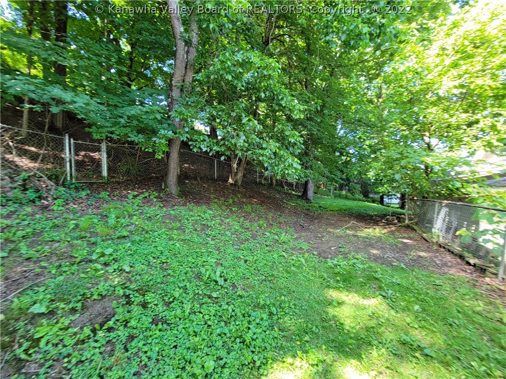 323 3rd Avenue Ripley, WV 25271 - Photo 18 of 18 Gallery Image 18