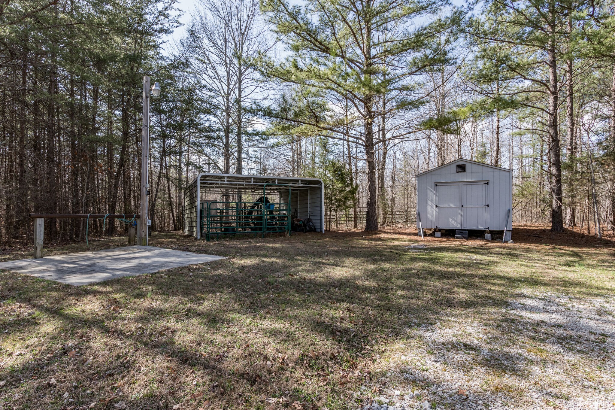 210 Double Check Lane Belvidere, TN 37306 - Photo 30 of 48 a backyard of a house with oven and a tree