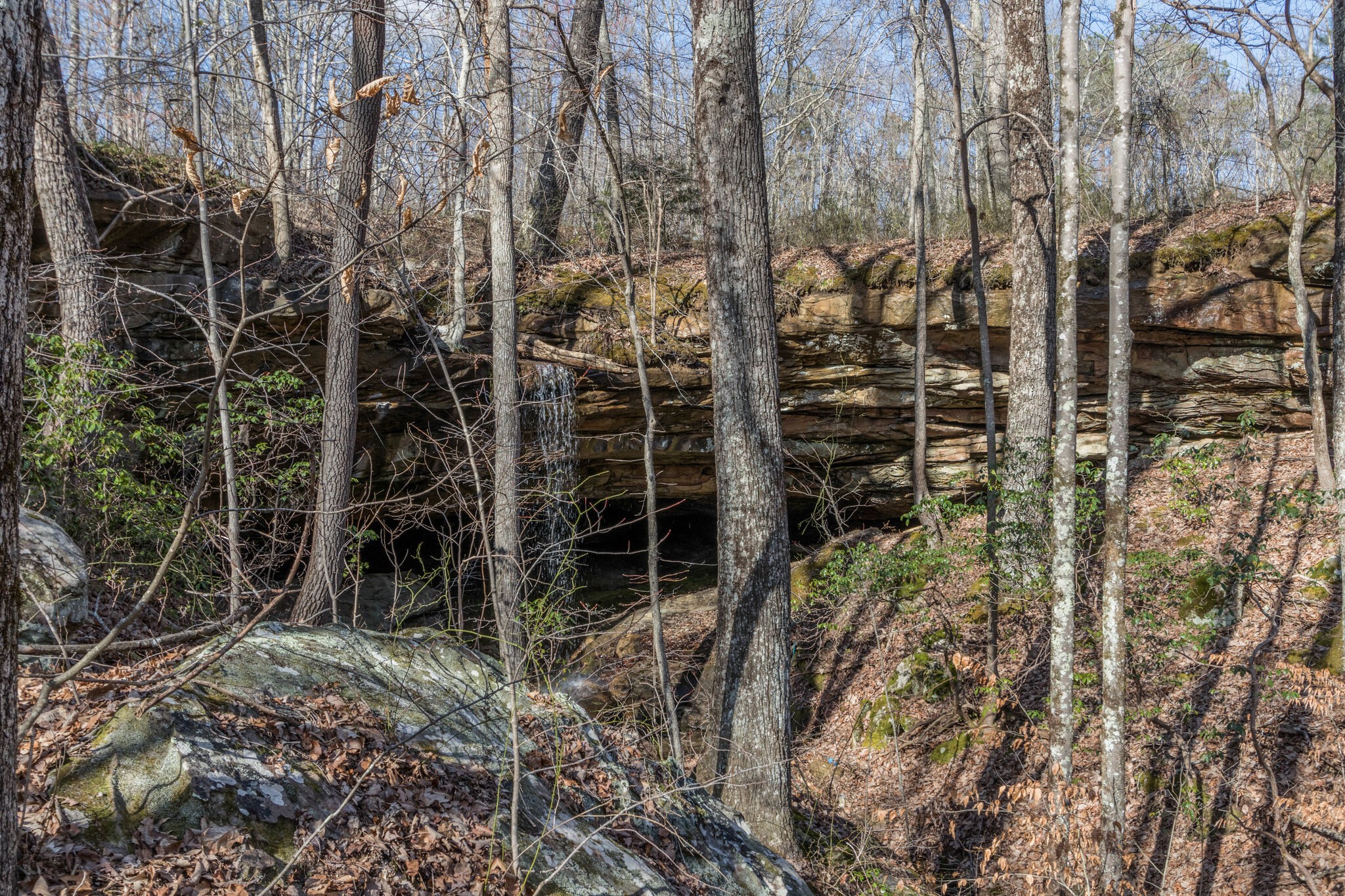 210 Double Check Lane Belvidere, TN 37306 - Photo 35 of 48