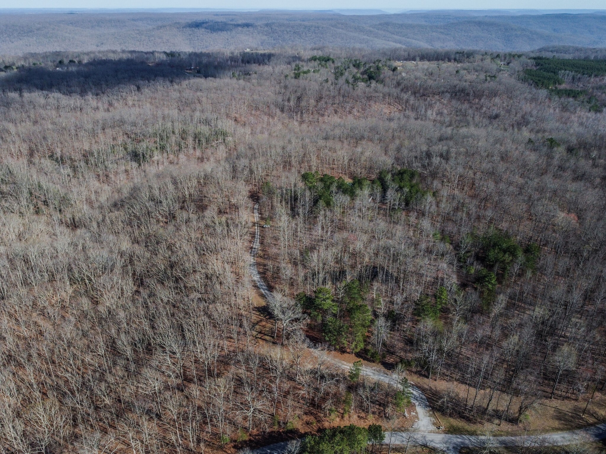 210 Double Check Lane Belvidere, TN 37306 - Photo 37 of 48 a view of a dry field