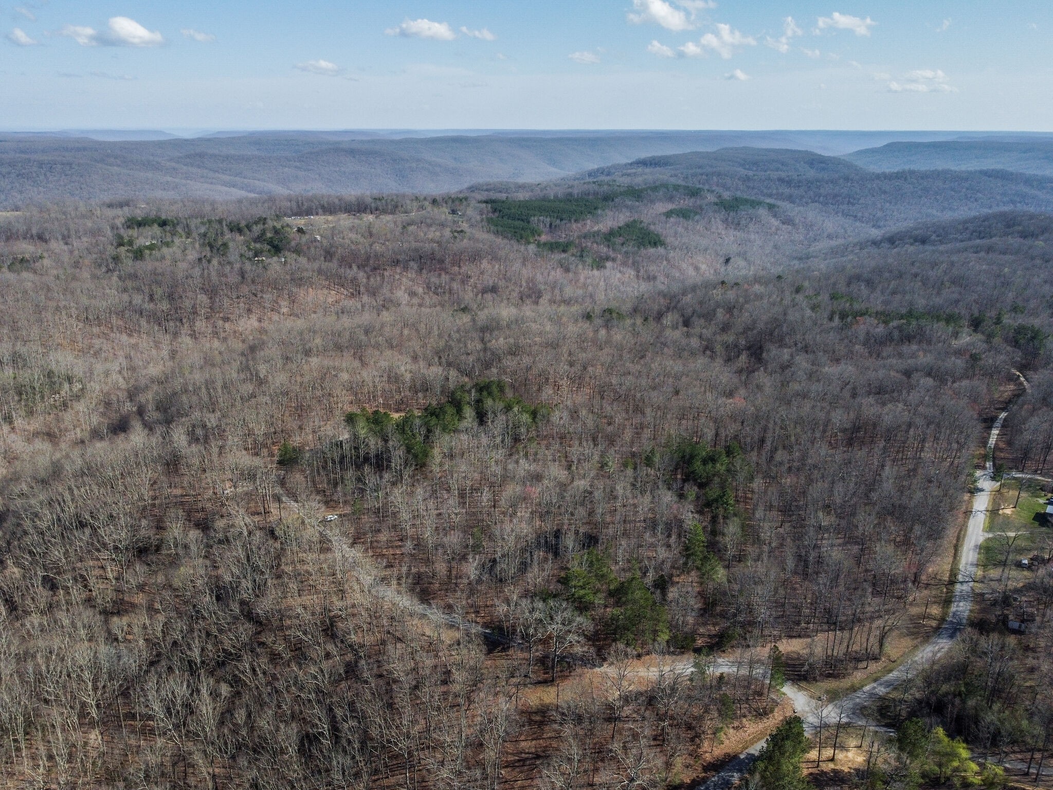 210 Double Check Lane Belvidere, TN 37306 - Photo 40 of 48 a view of a dry field