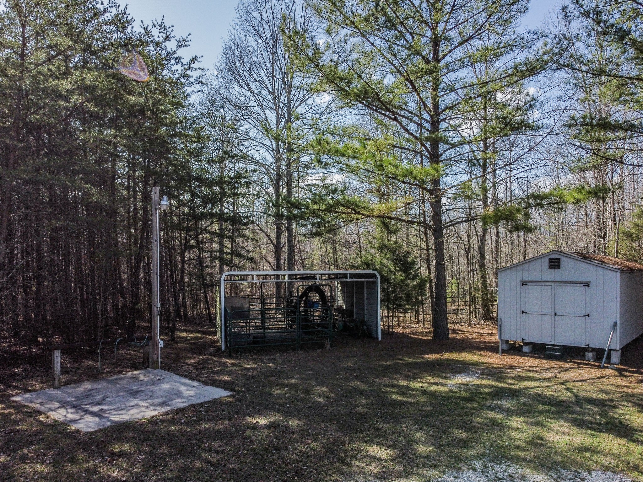 210 Double Check Lane Belvidere, TN 37306 - Photo 46 of 48 a backyard of a house with lots of green space