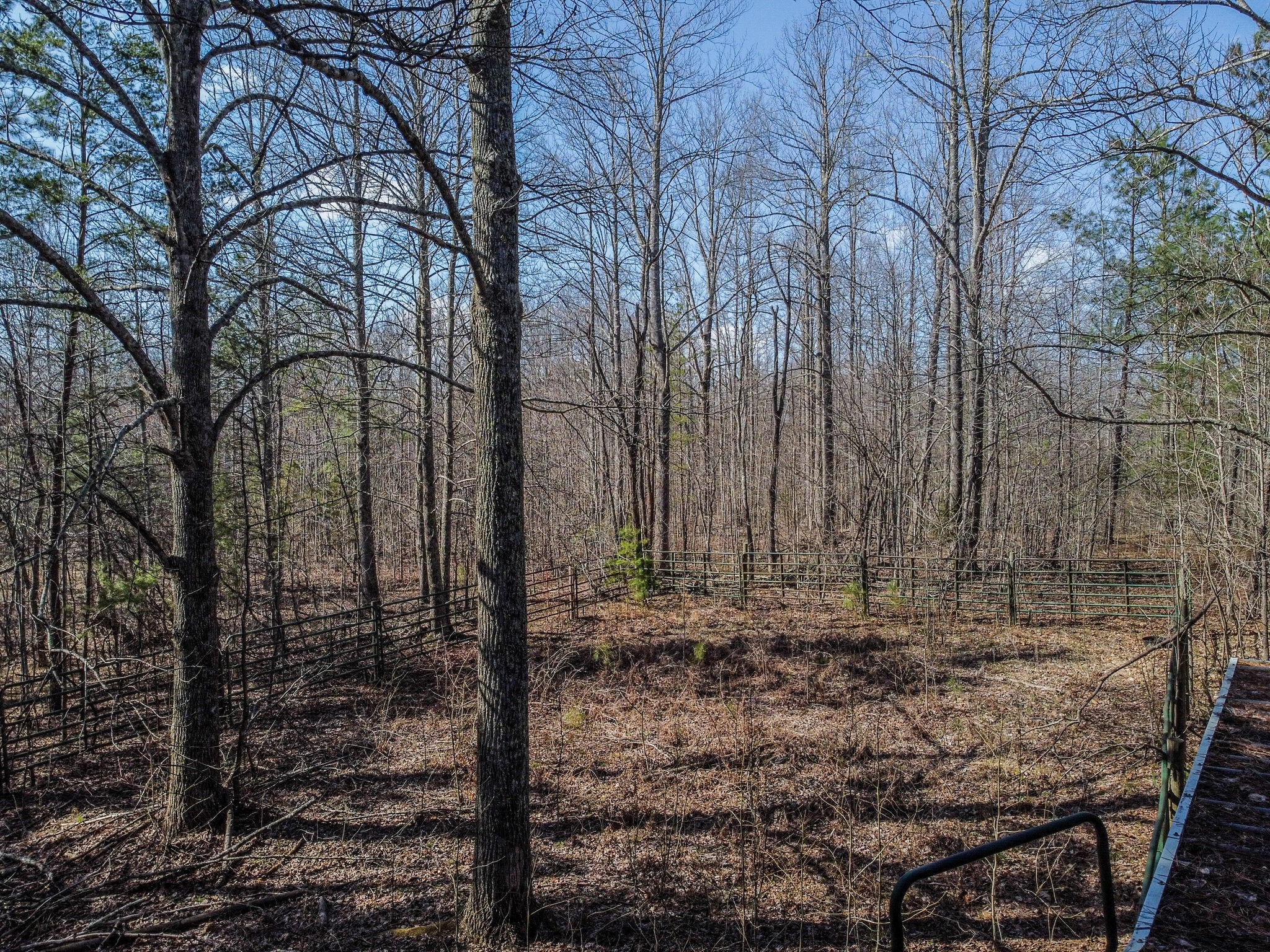 210 Double Check Lane Belvidere, TN 37306 - Photo 47 of 48 a view of a yard with large trees