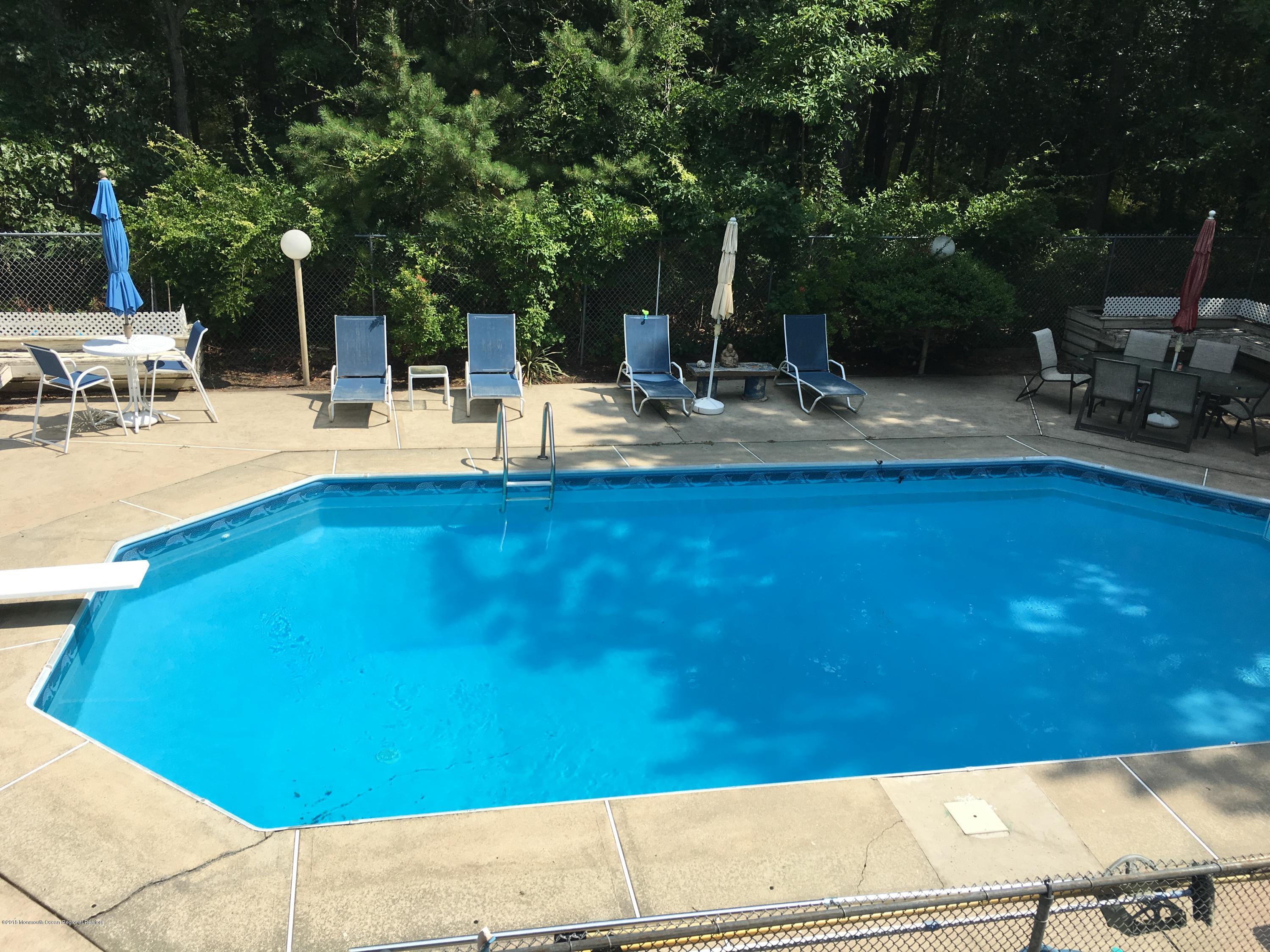 432 Stage Road Little Egg Harbor, NJ 08087 - Photo 15 of 21 432 stage pool pic 3